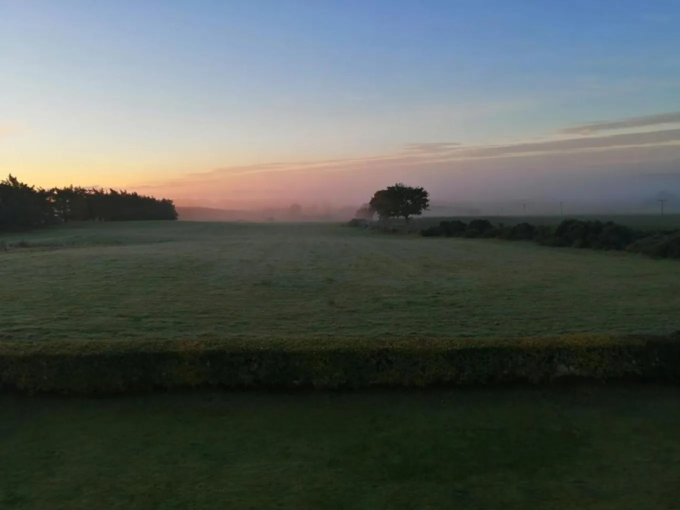 Garden view in Heartseed House Bed & Breakfast
