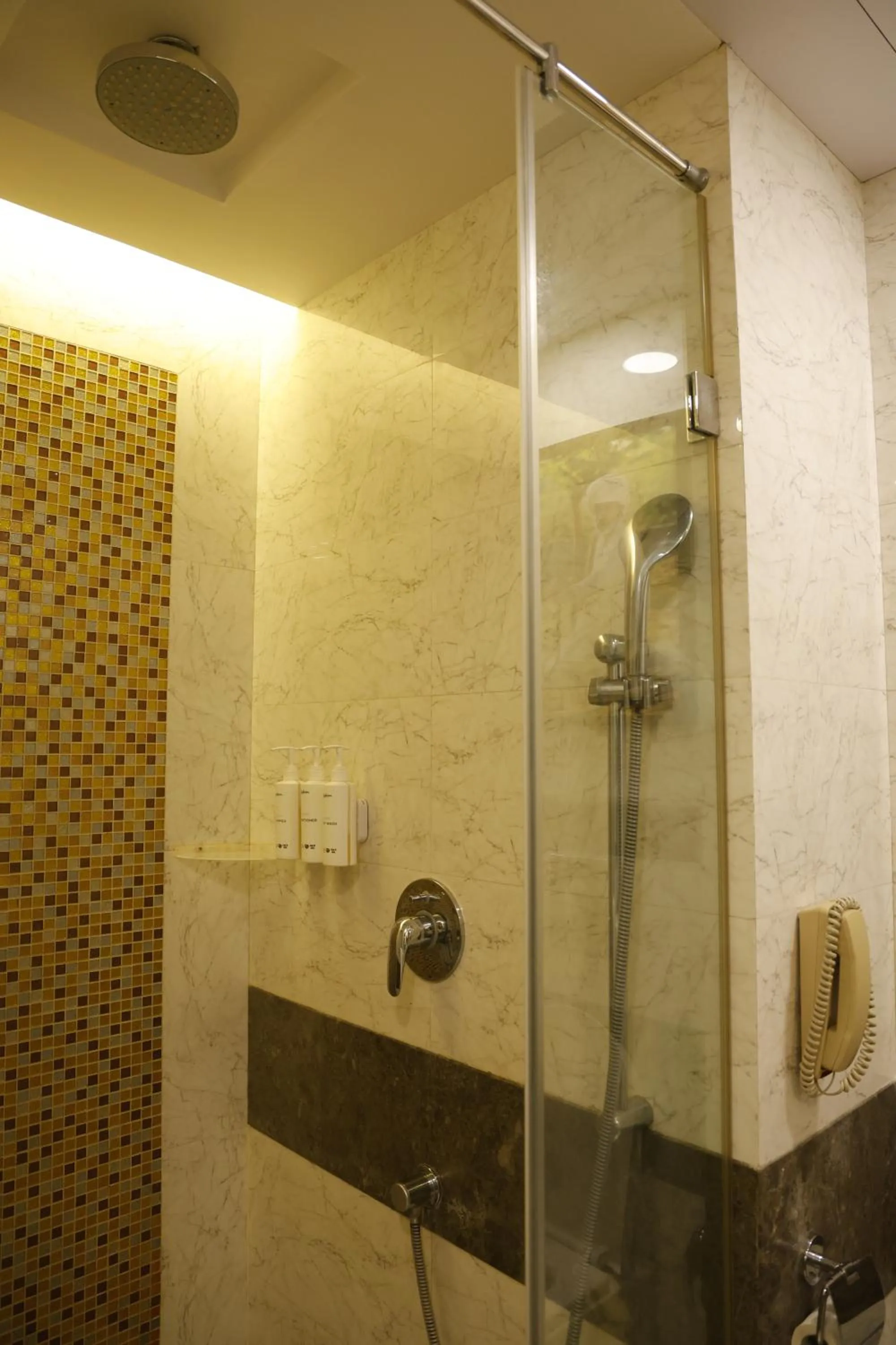 Shower in Radisson Resort & Spa Kandla