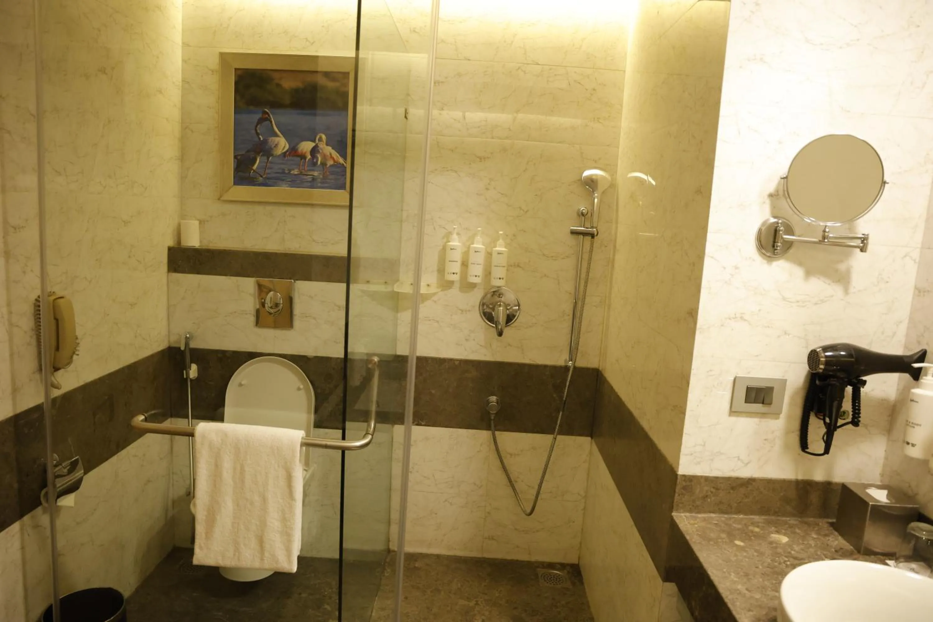 Shower in Radisson Resort & Spa Kandla