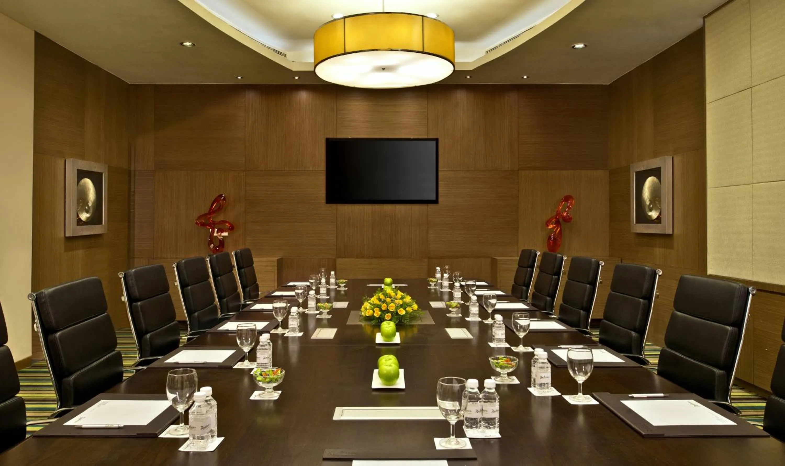 Meeting/conference room in Radisson Resort & Spa Kandla