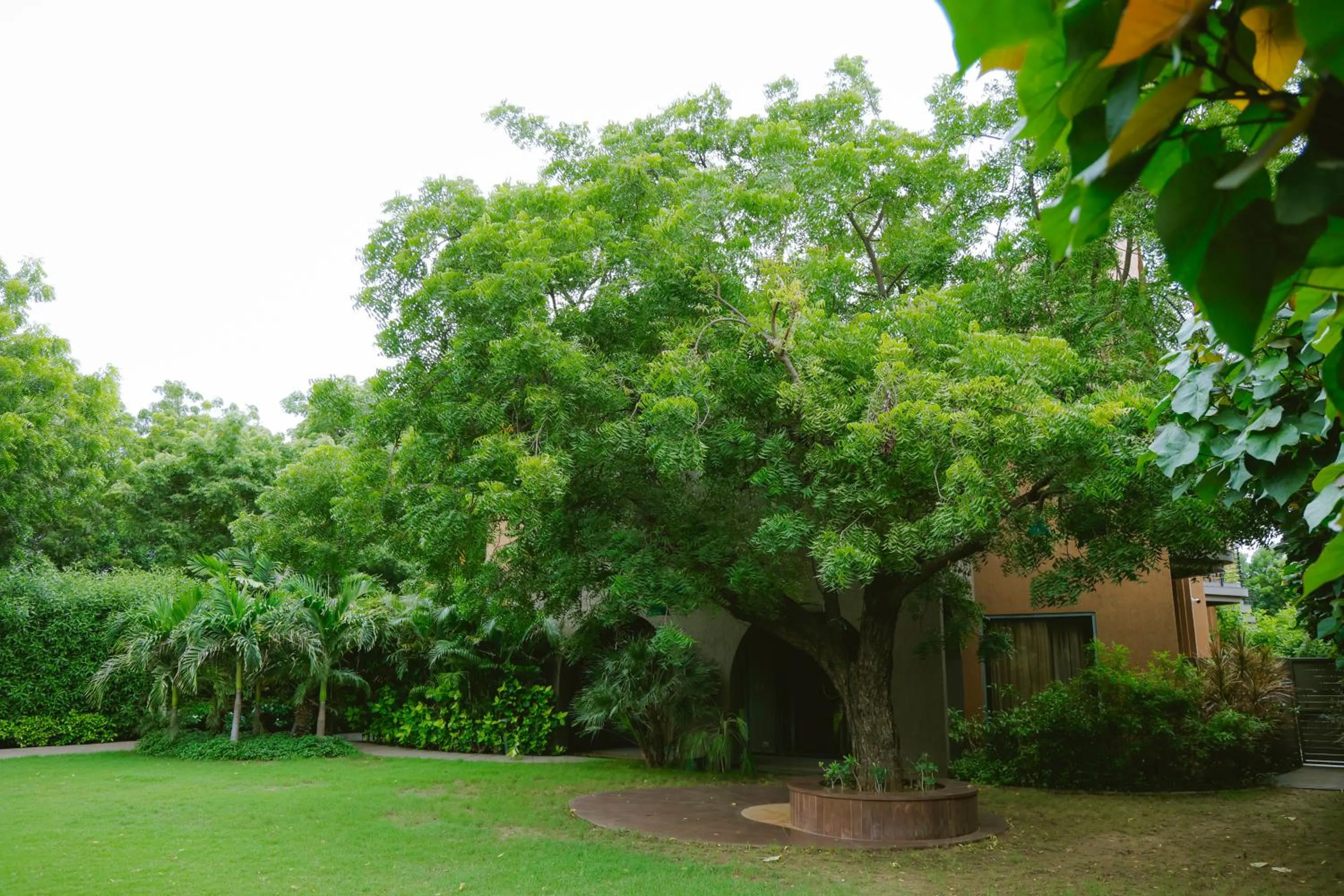 Day in Radisson Resort & Spa Kandla