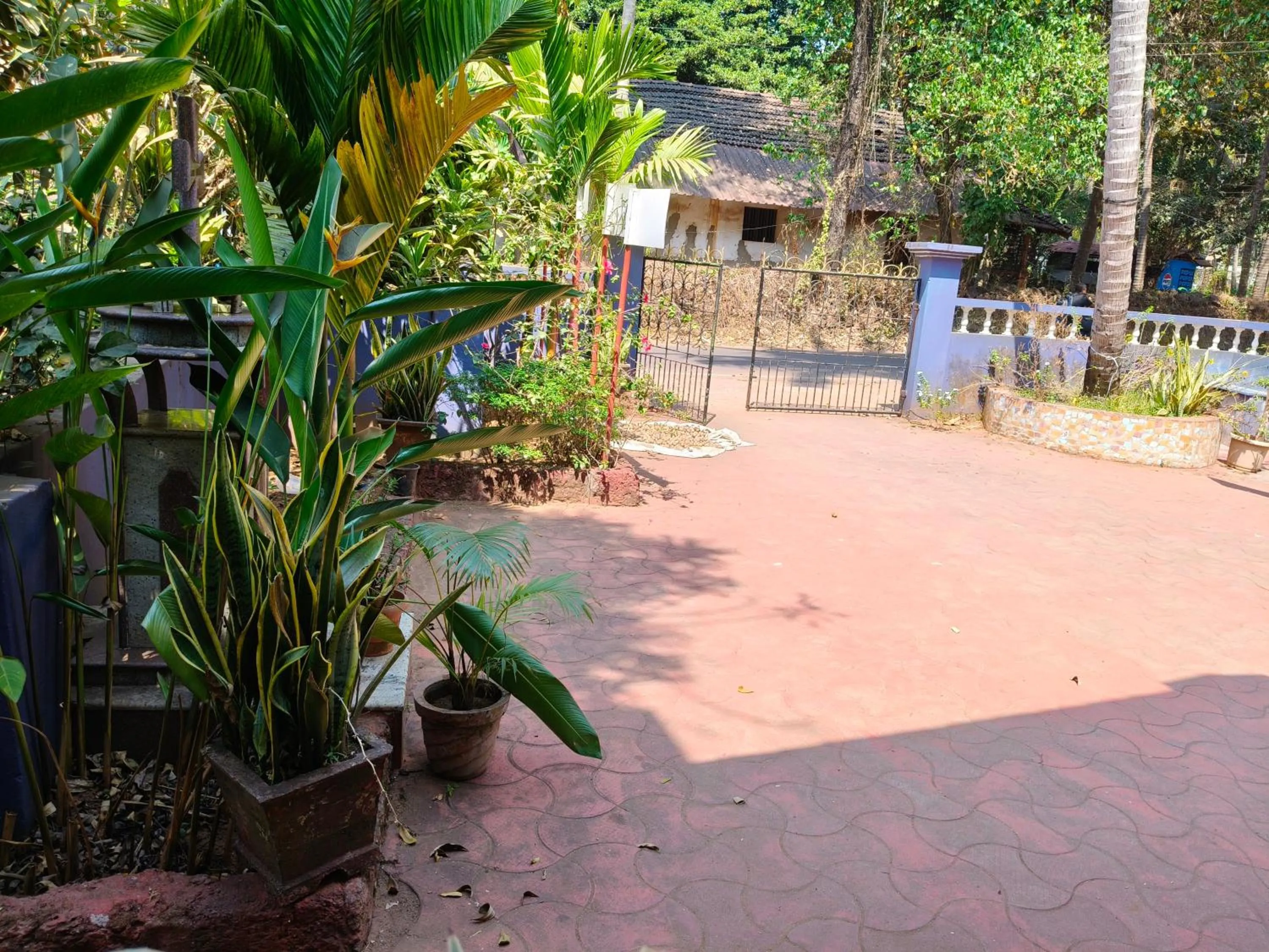 Garden view in Jes Guest House