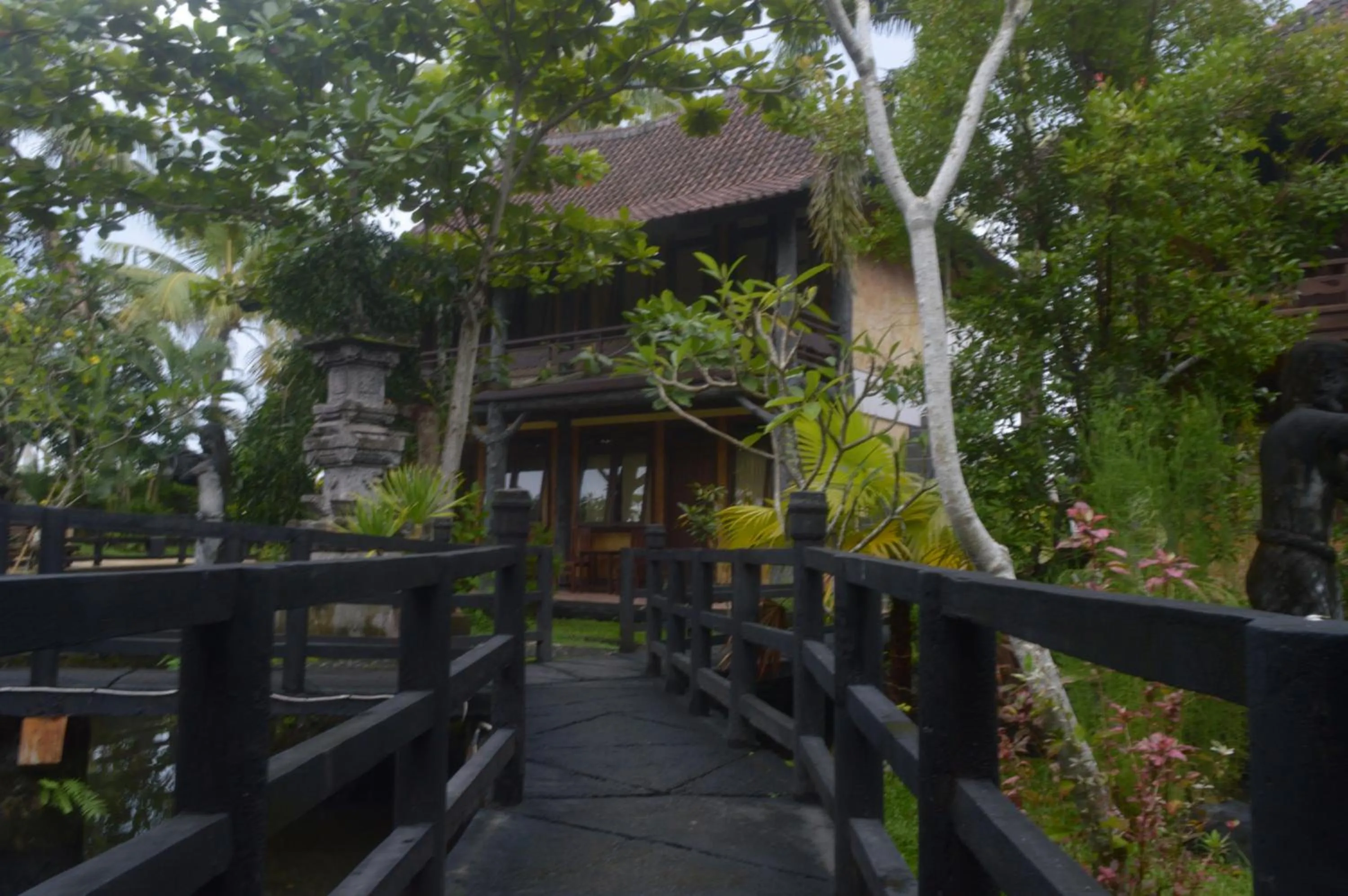 Other in Kangkung Cottages