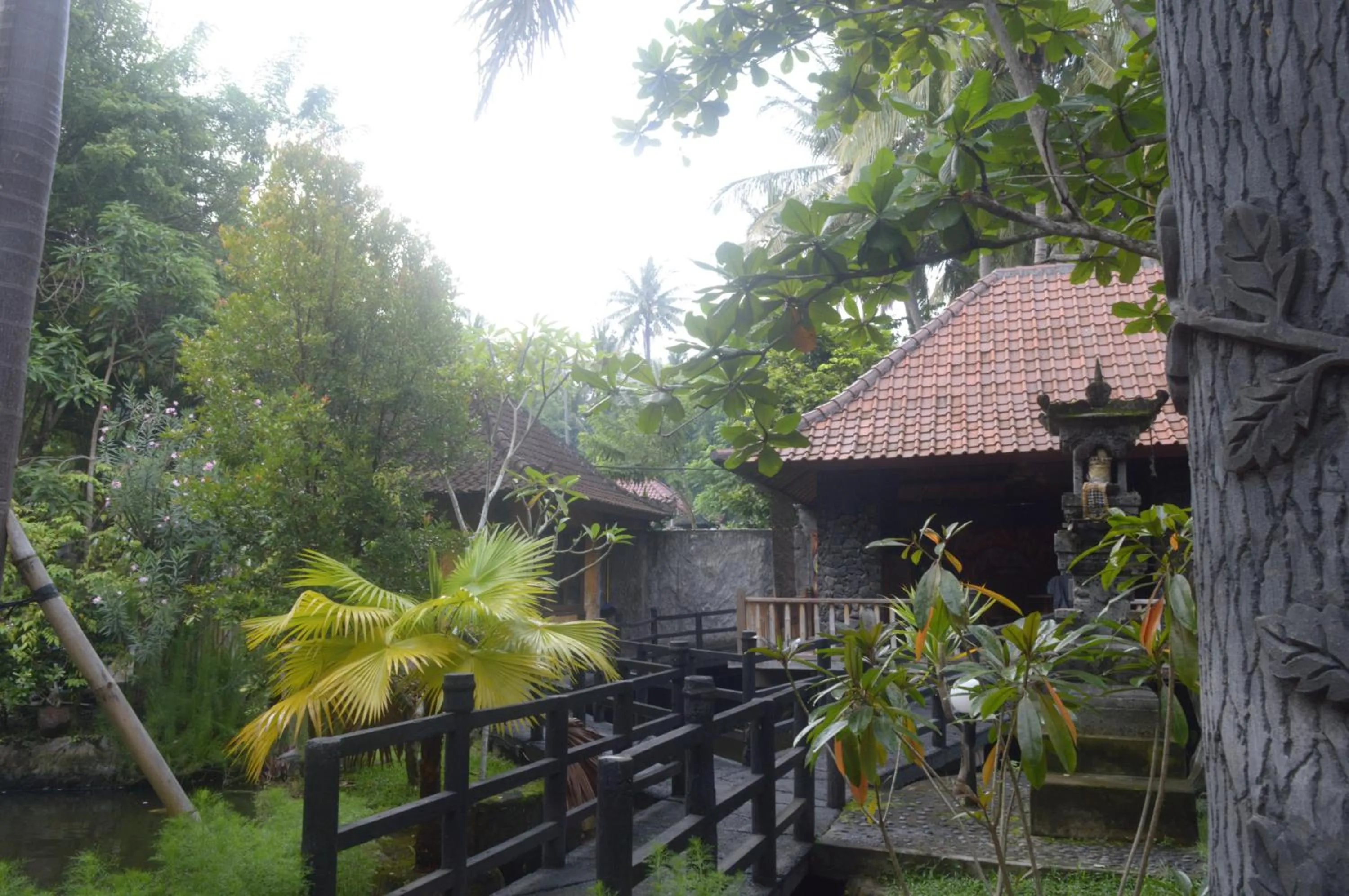 Garden in Kangkung Cottages