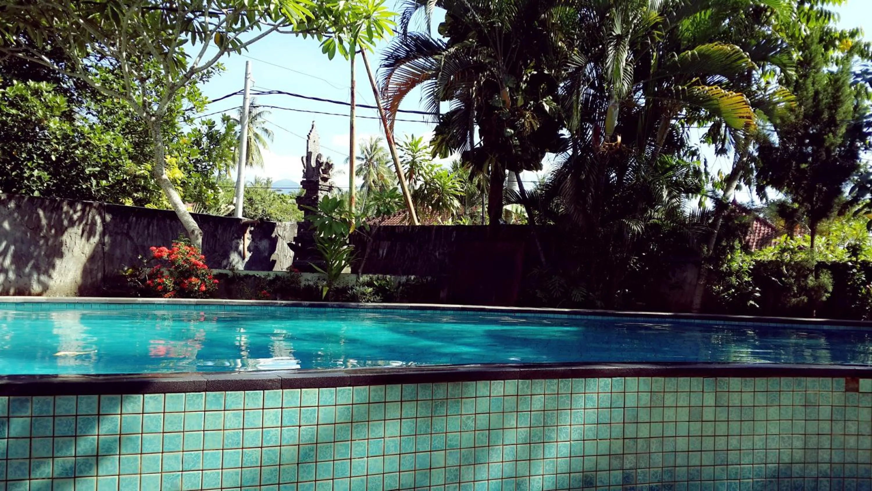 Swimming pool in Kangkung Cottages