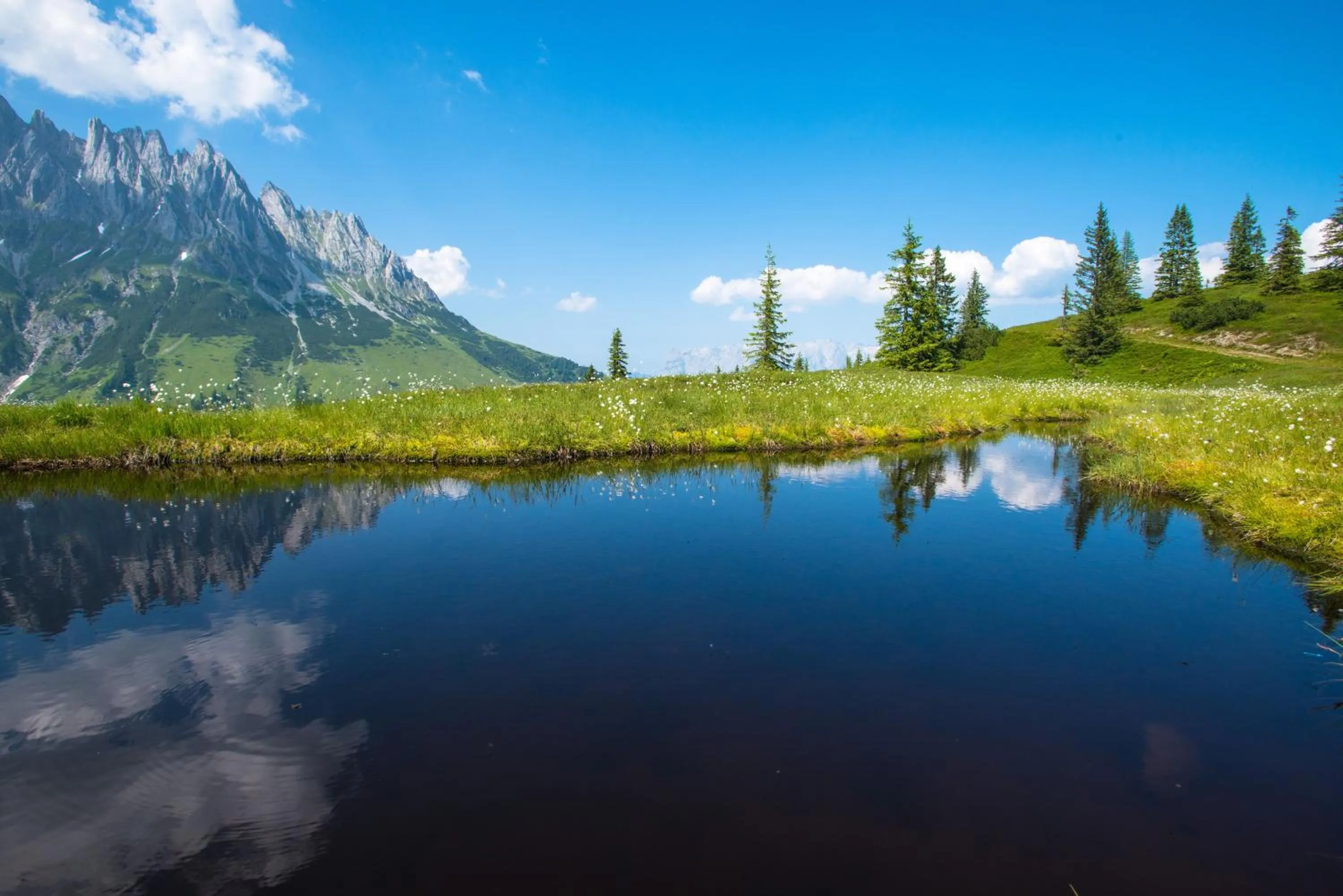 Staff in Aparthotel Bergtraum