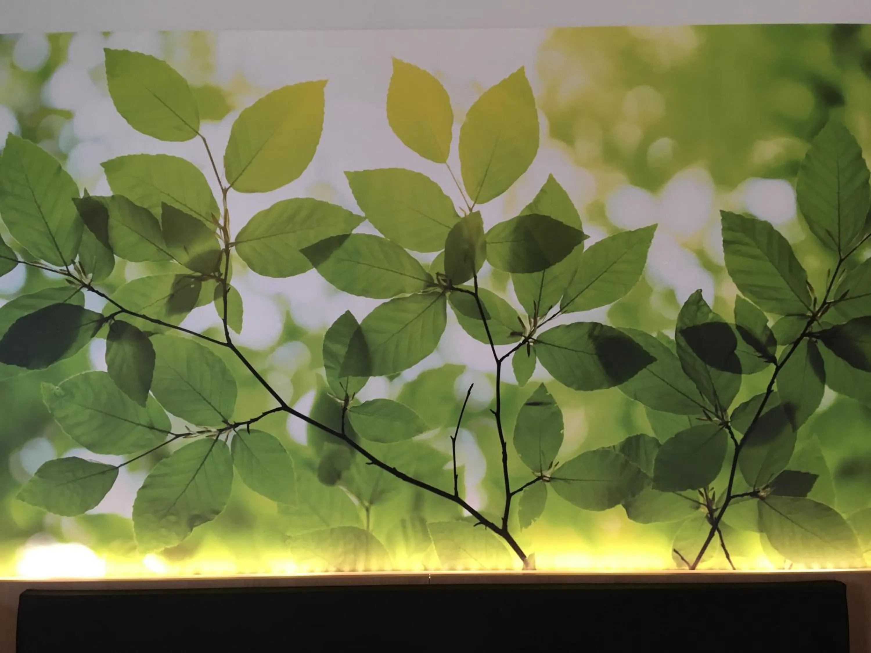 Decorative detail in INhouse - Wohnen auf Zeit