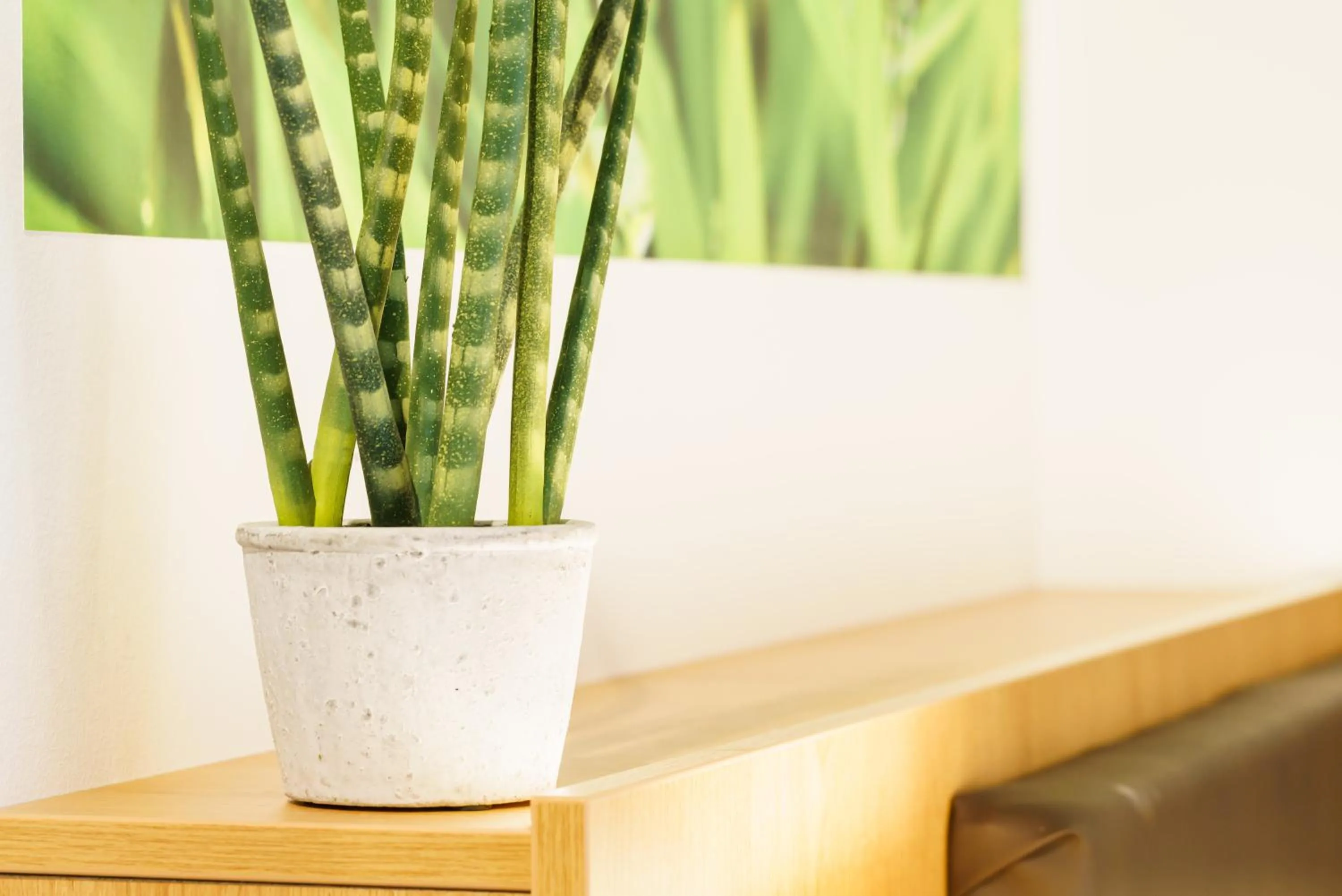 Decorative detail in INhouse - Wohnen auf Zeit