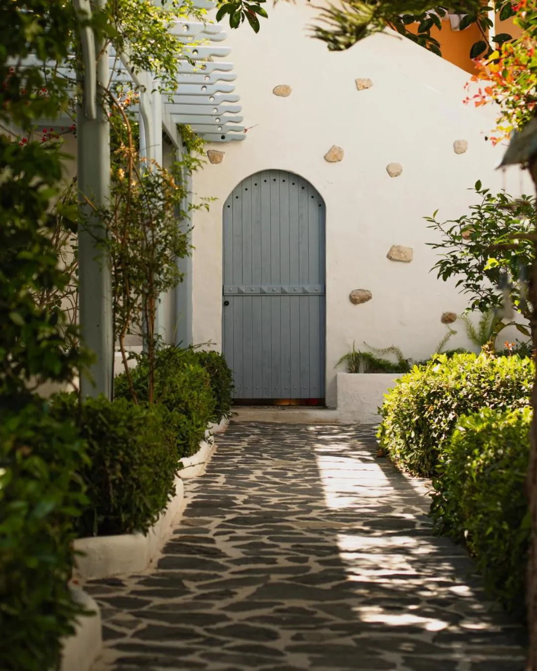 Garden view in Kassandra Oludeniz