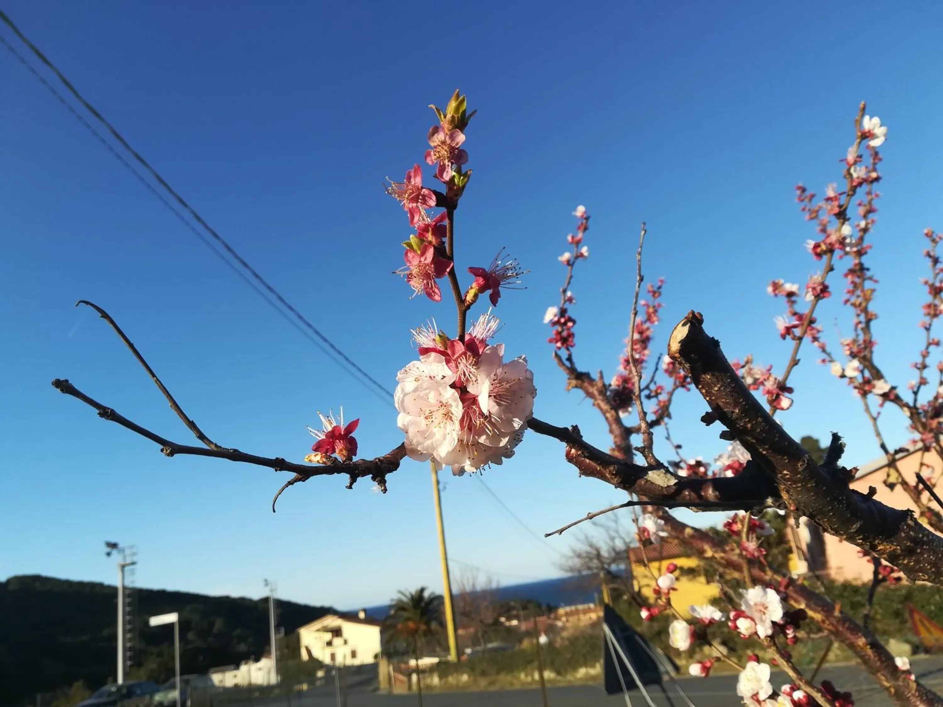 Property building in B&B Capo al Piano