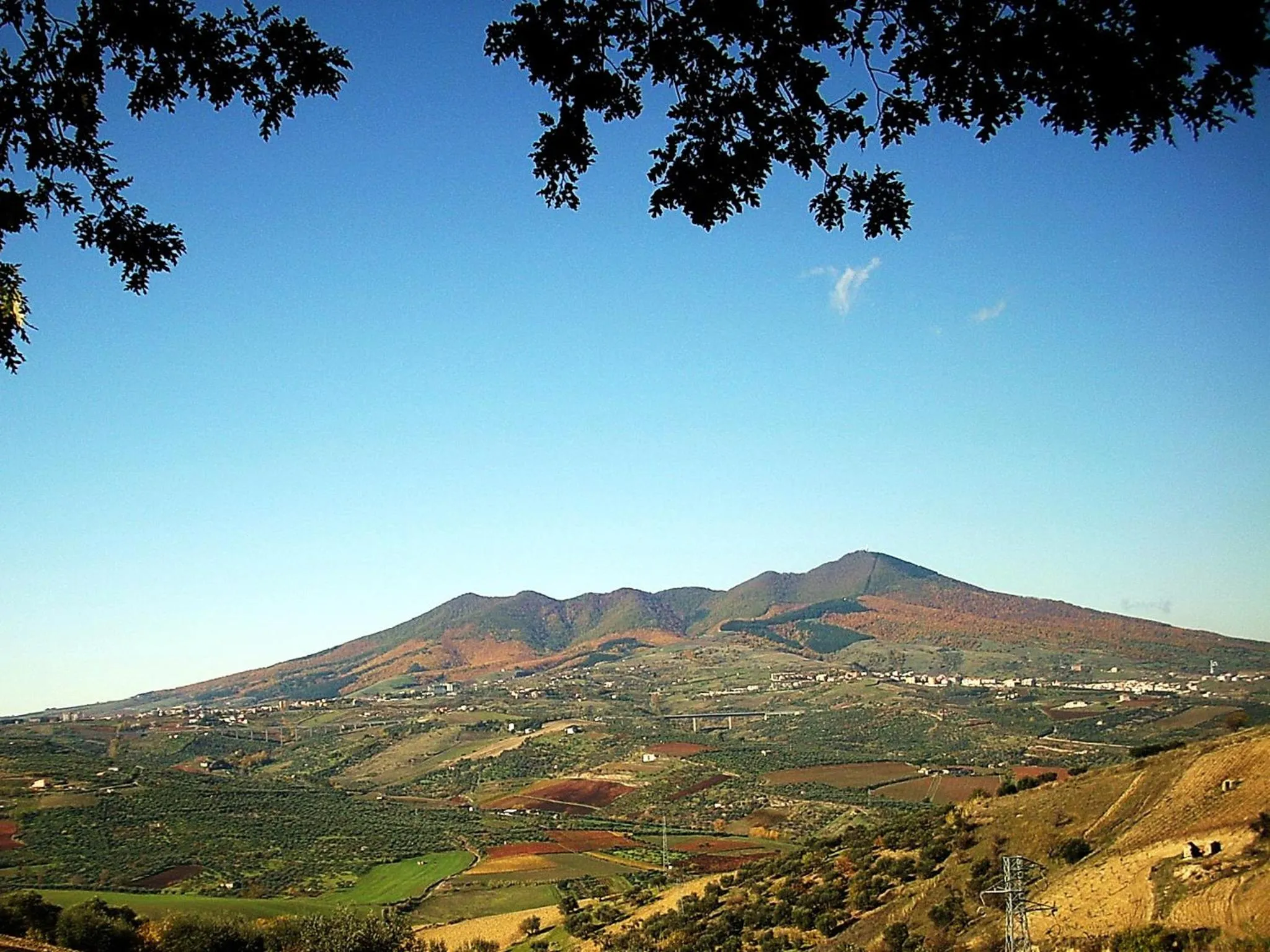 Activities in Il Castagneto Hotel