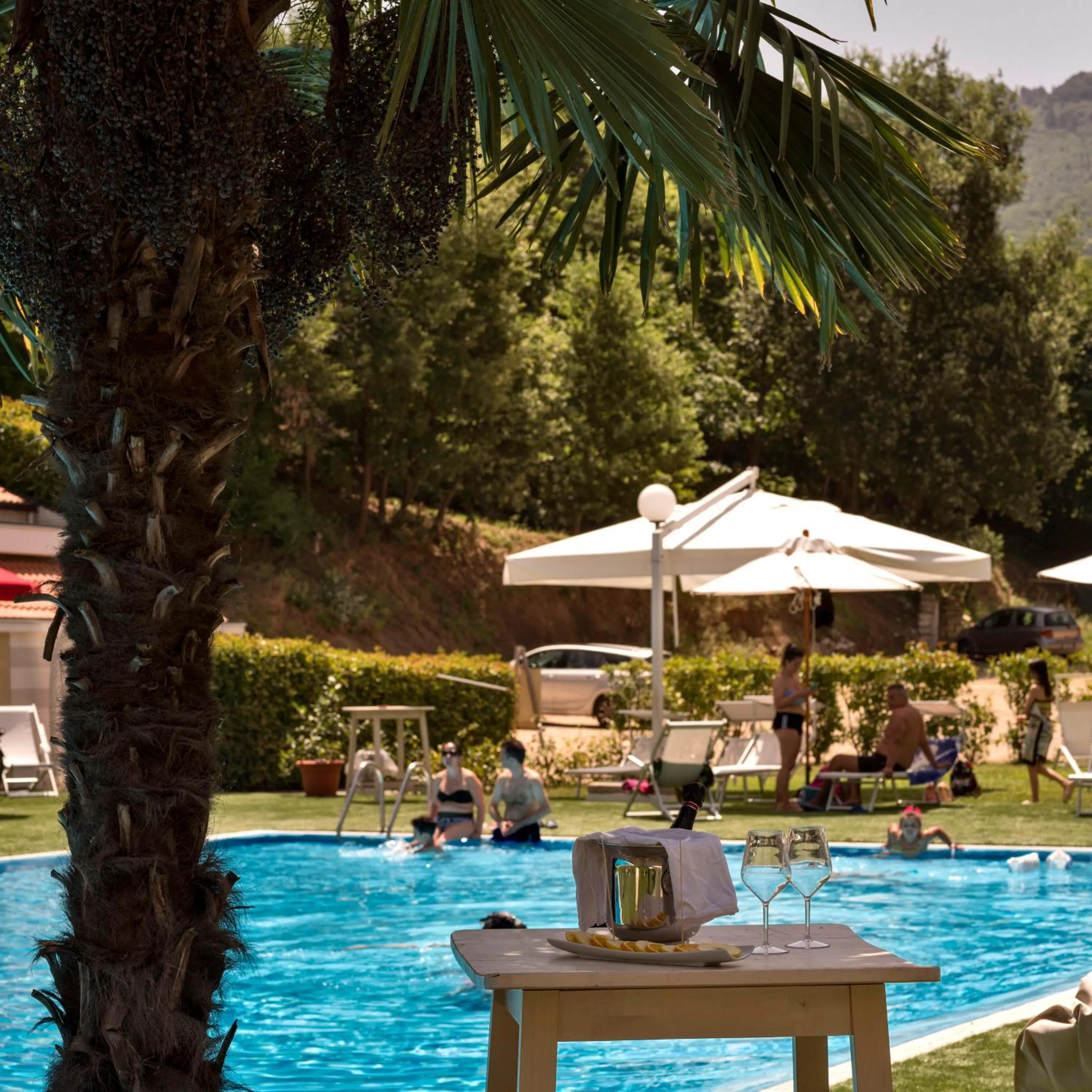 Pool view in Il Castagneto Hotel