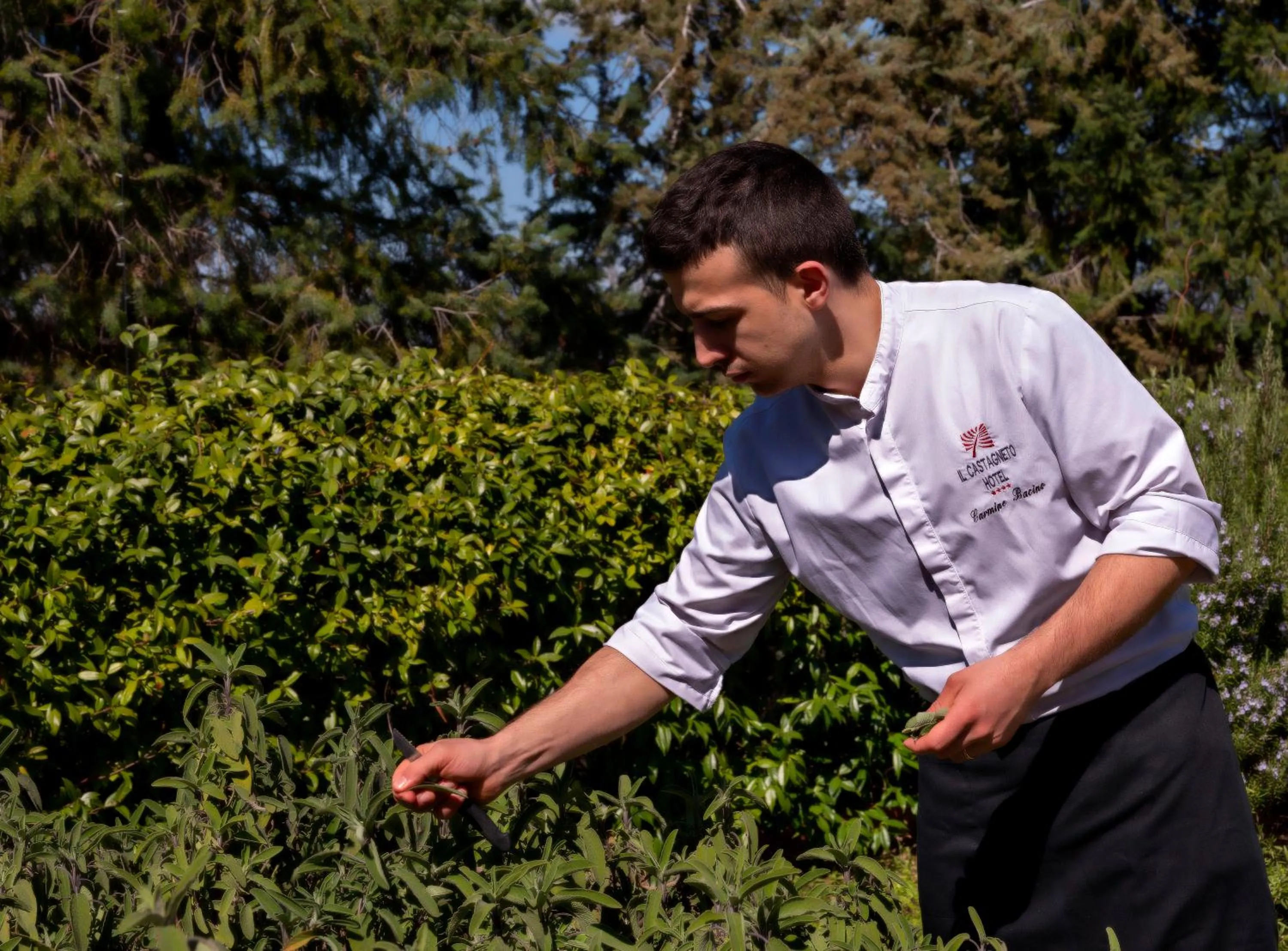 Restaurant/places to eat in Il Castagneto Hotel