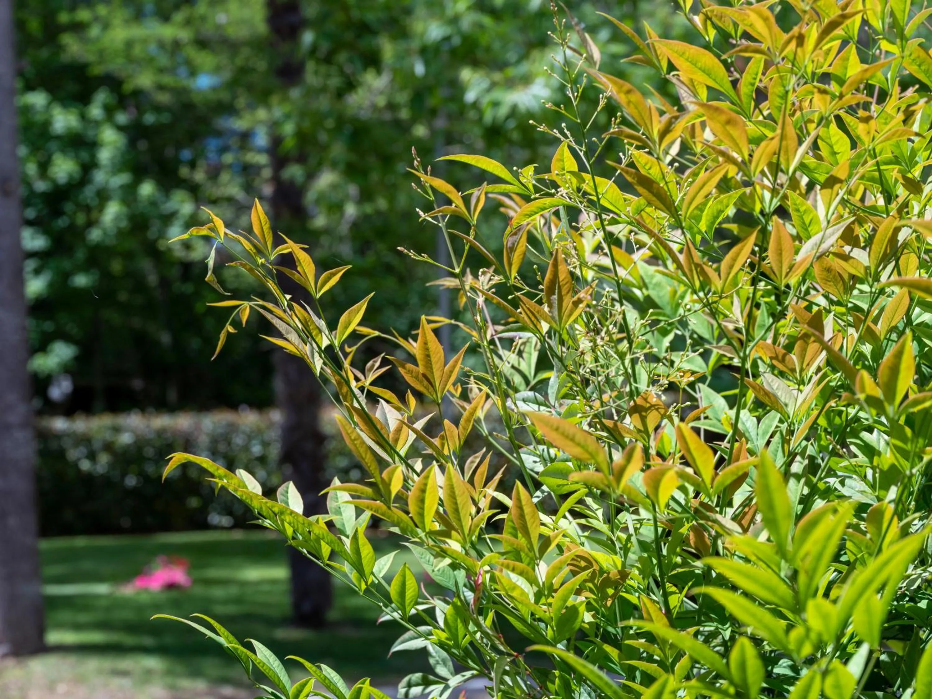 Natural landscape in Il Castagneto Hotel