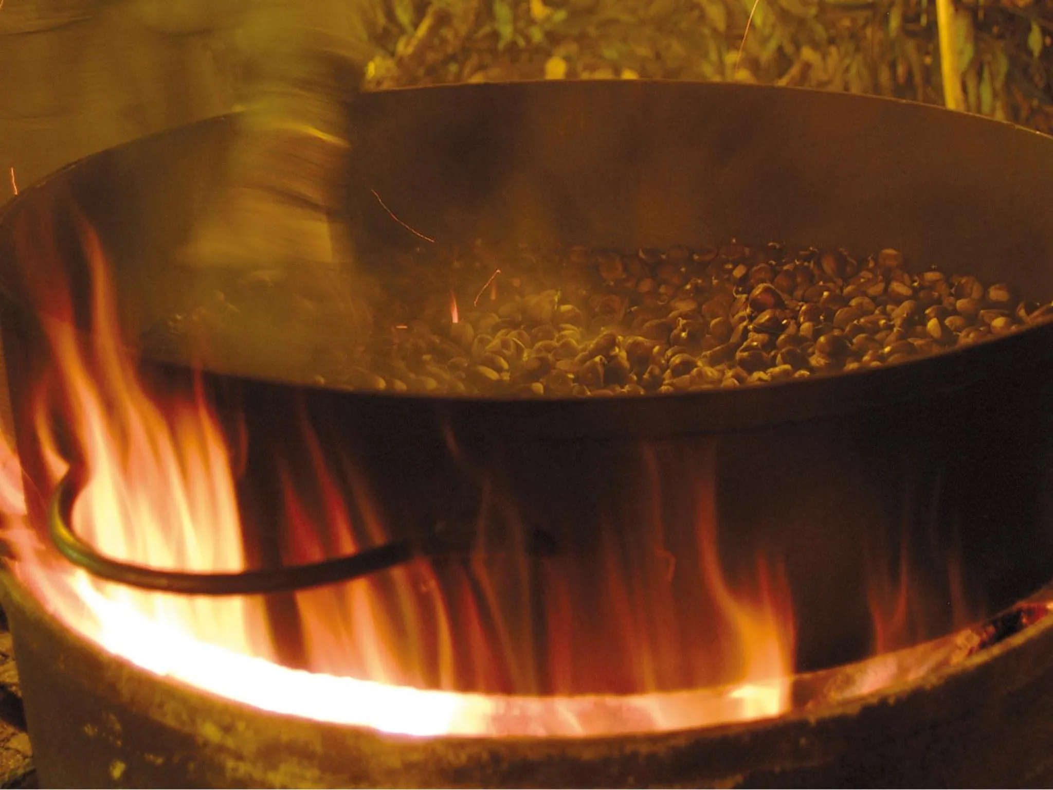 Activities in Il Castagneto Hotel