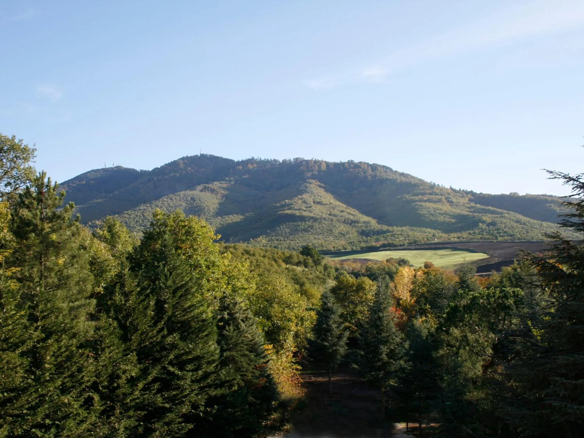 View (from property/room) in Il Castagneto Hotel