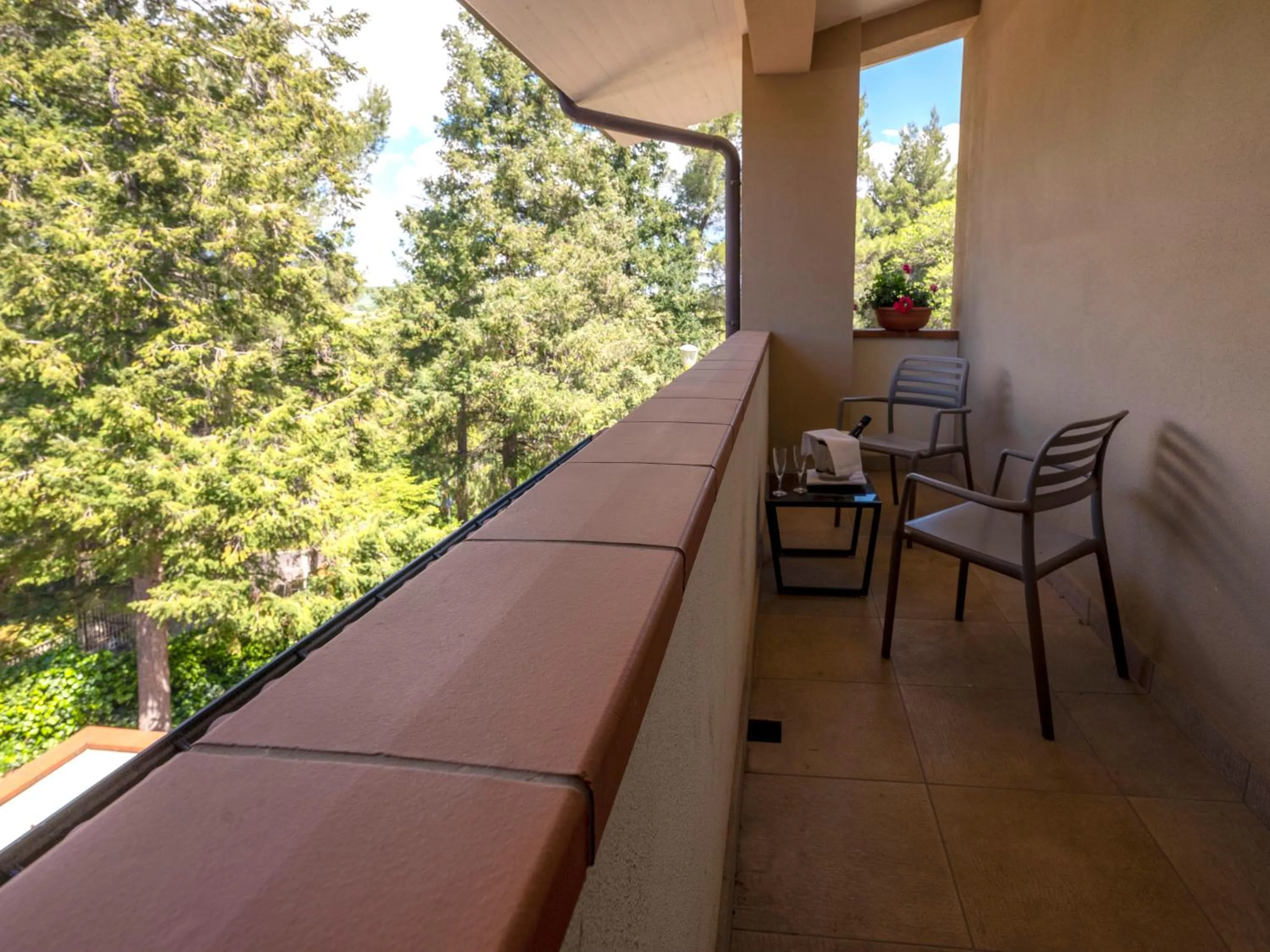 View (from property/room) in Il Castagneto Hotel