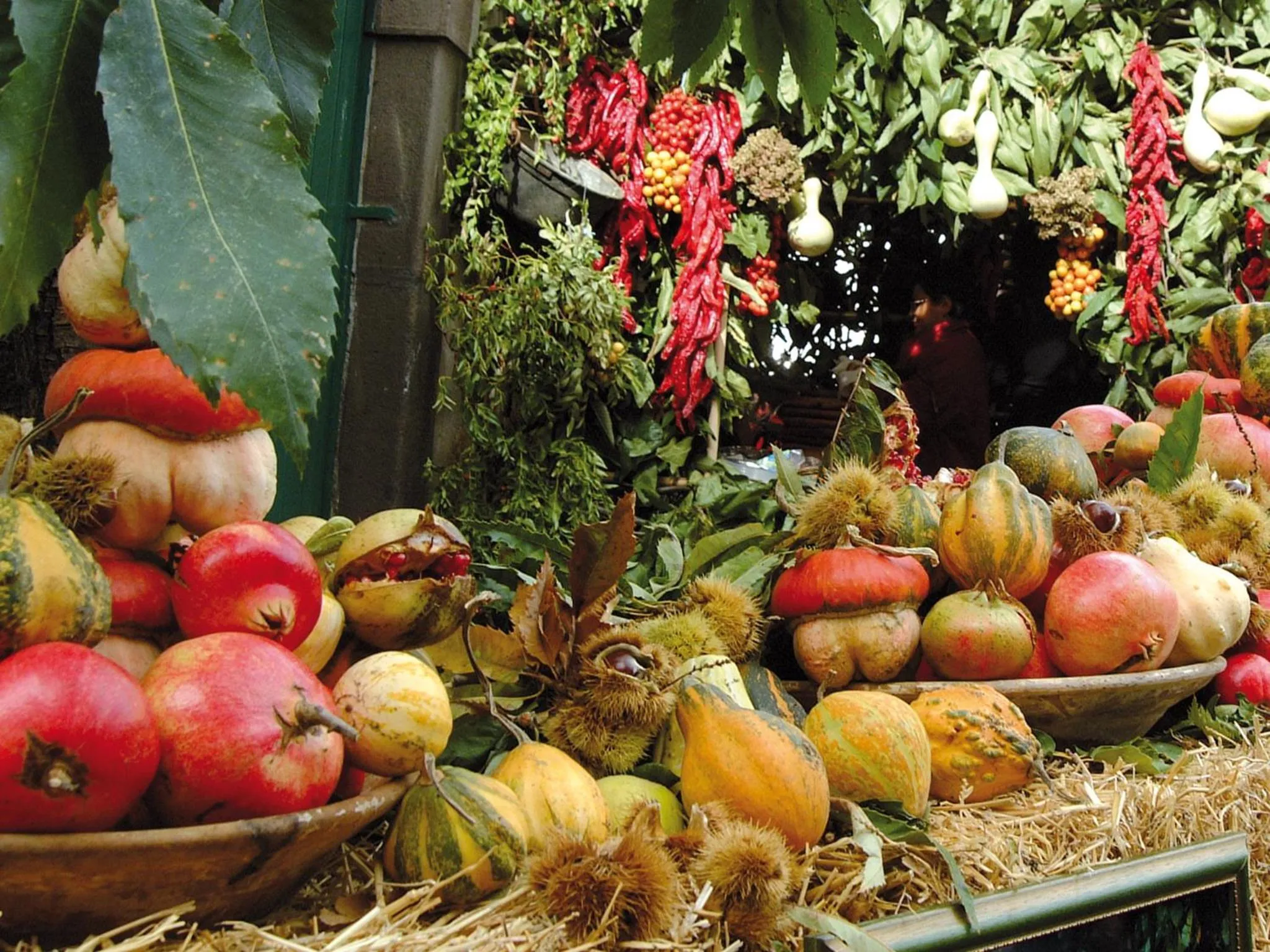 Activities in Il Castagneto Hotel