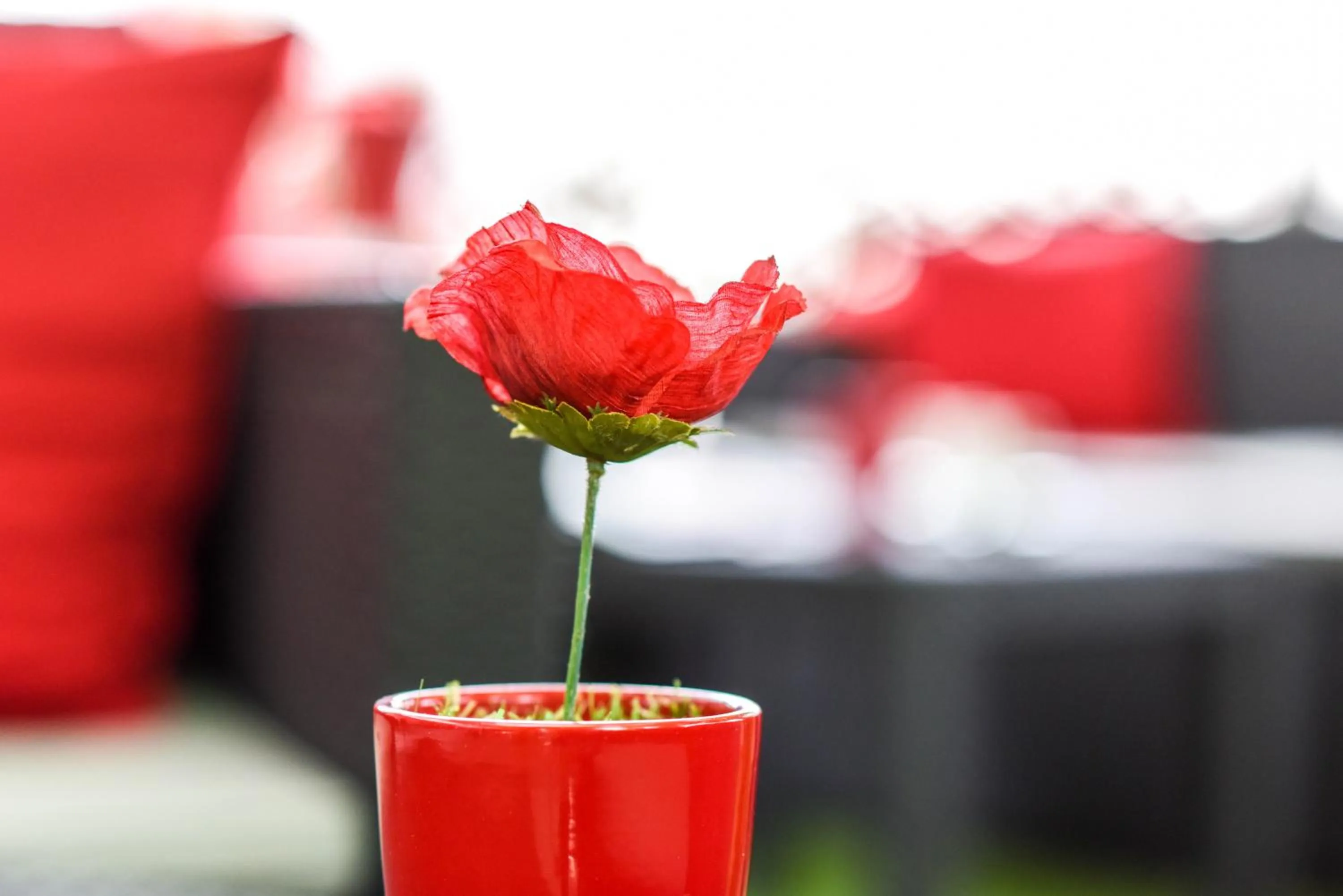 Decorative detail in Hôtel Auberge l'Estanquet