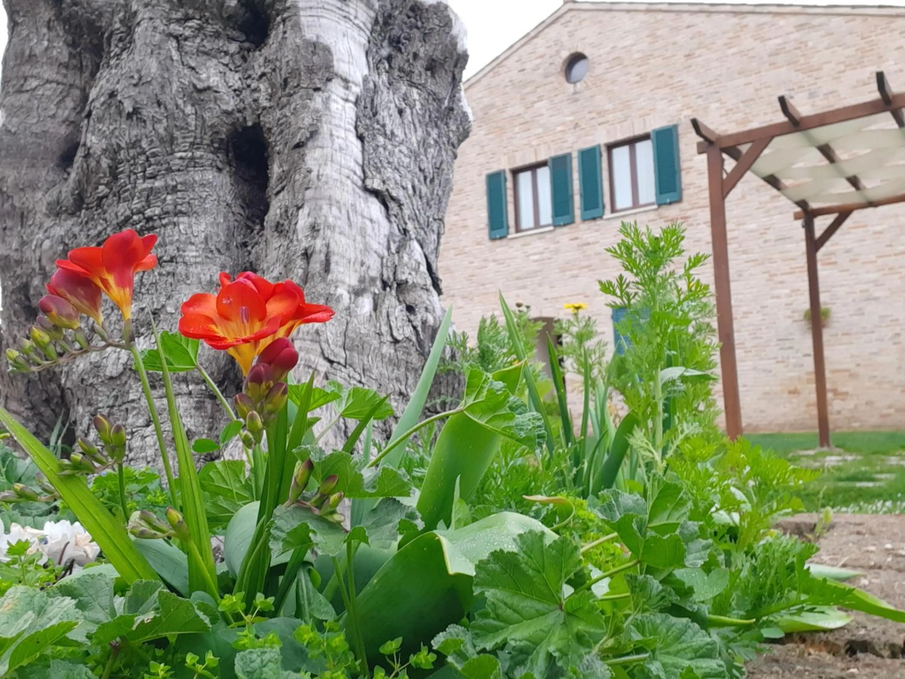 Garden in Casale del Conero
