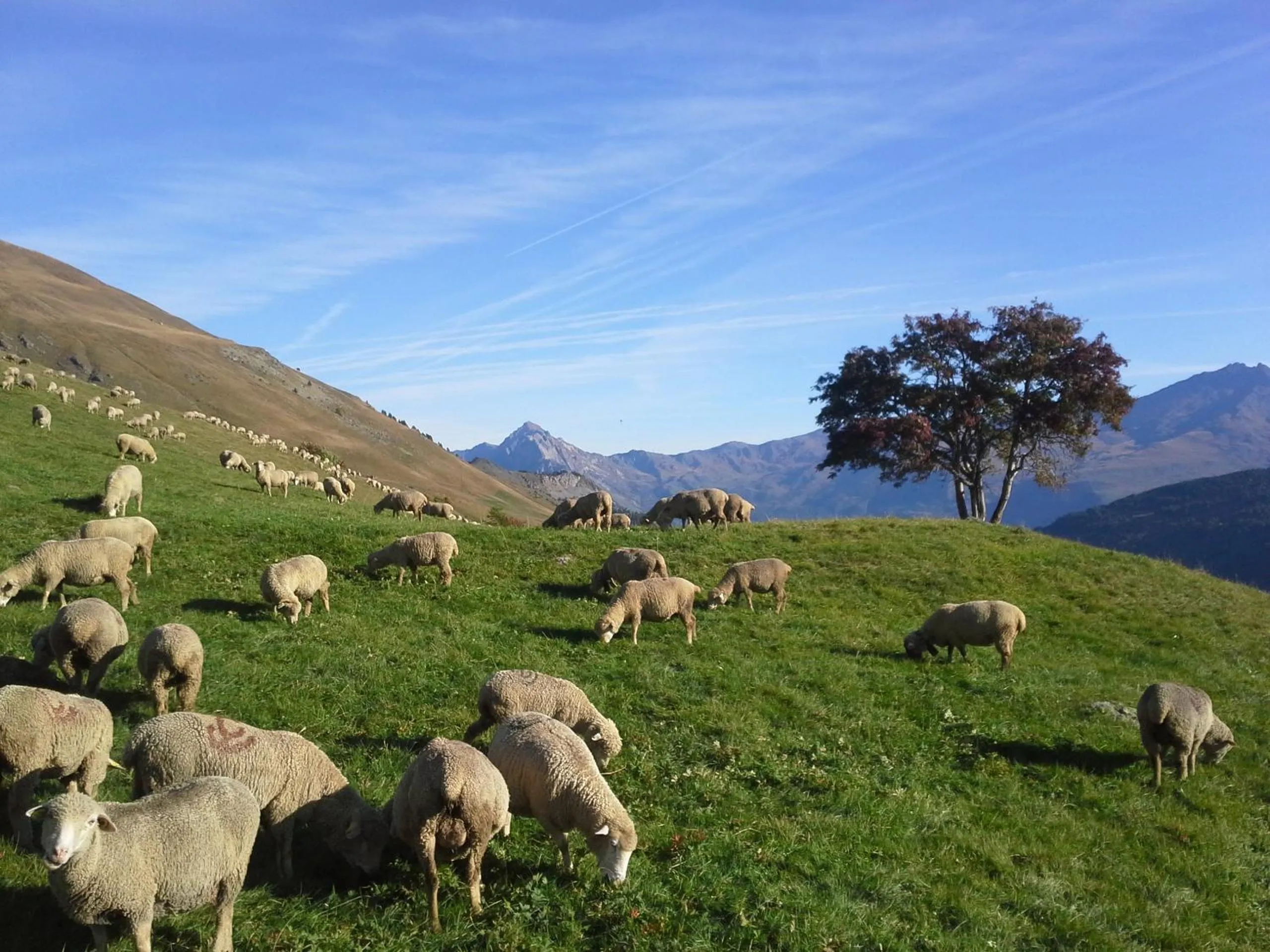 Mountain view in Hôtel du Crêt Rond
