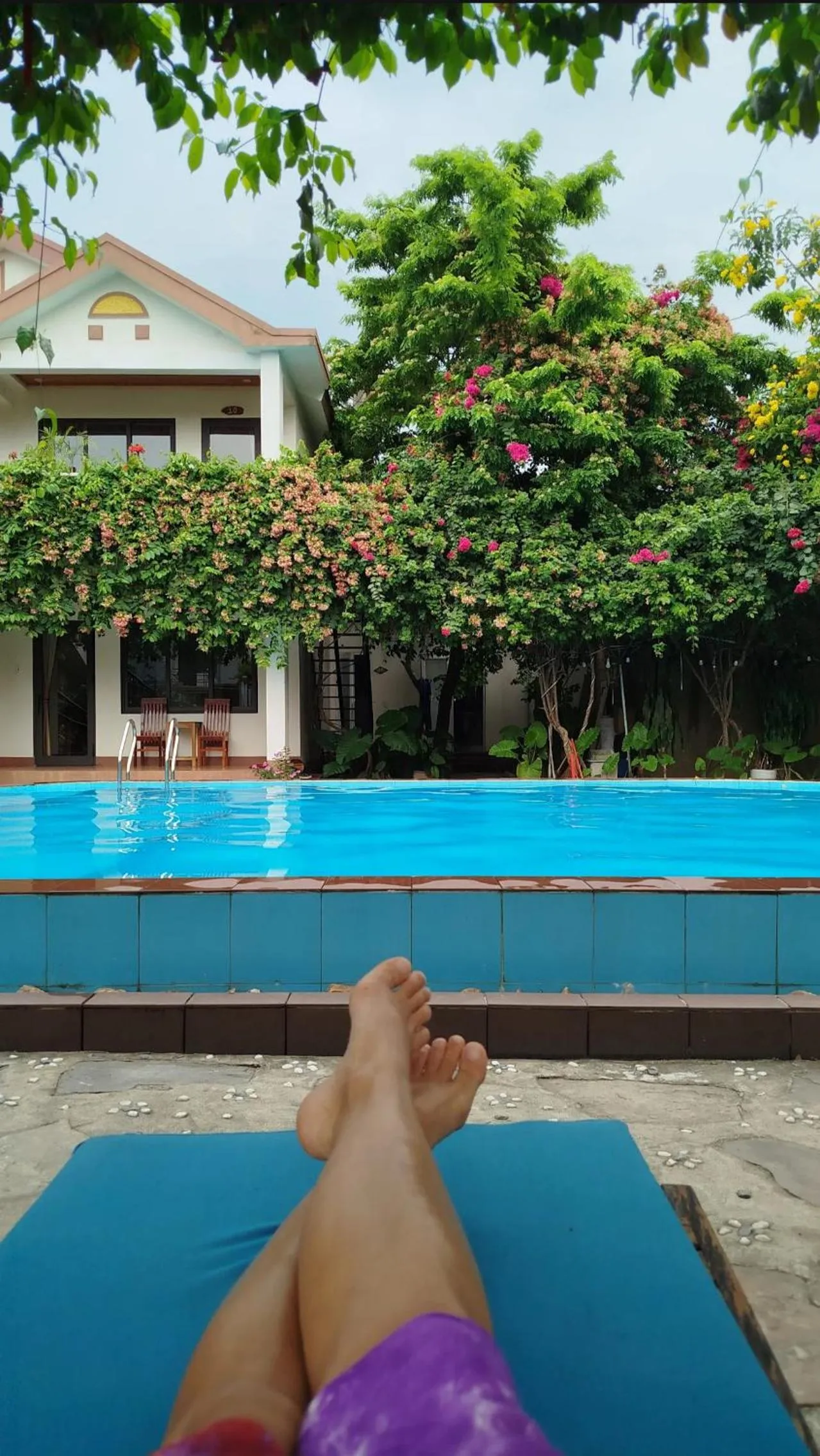 Pool view in Lucky Homes