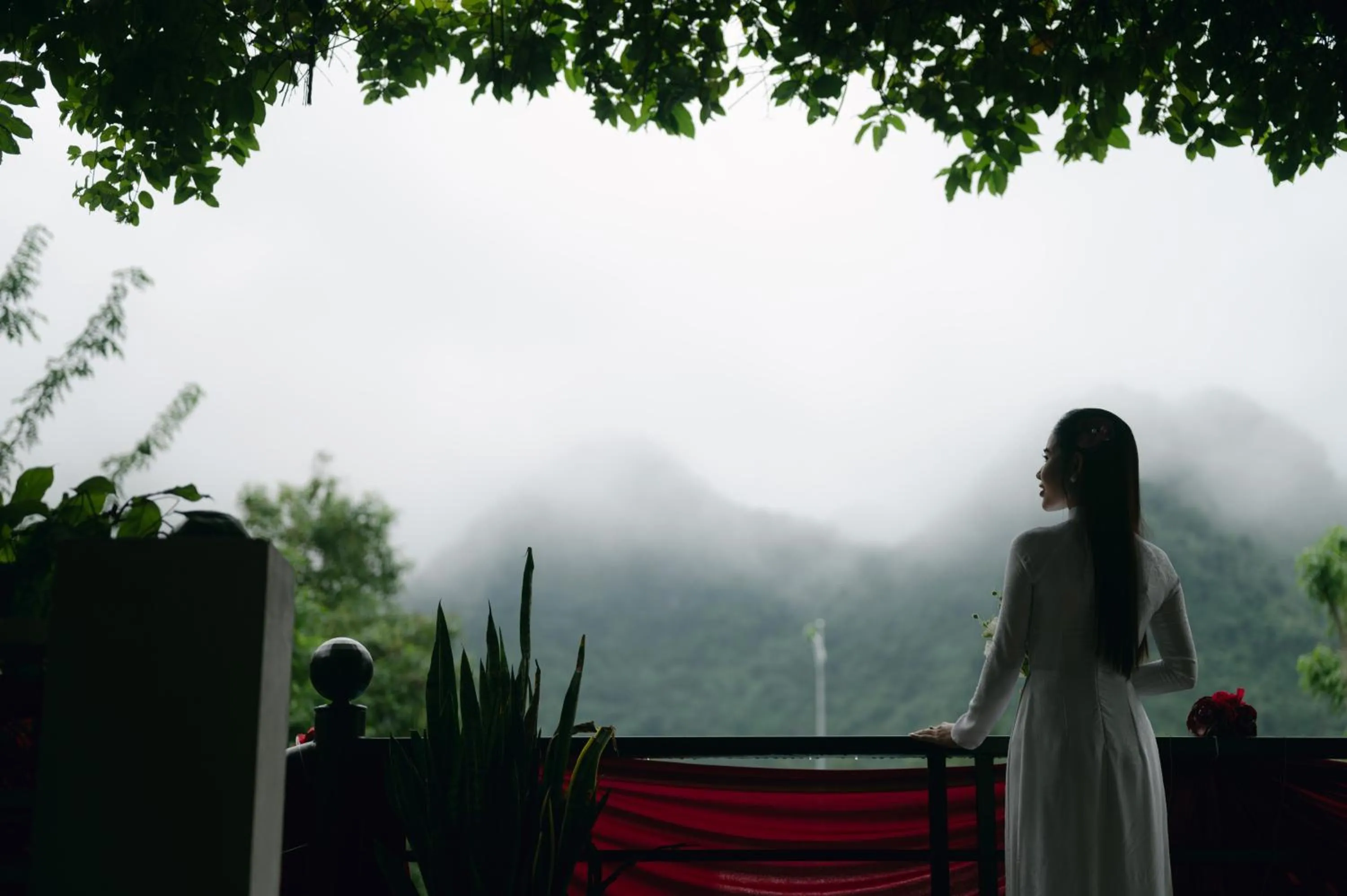 Natural landscape in Lucky Homes