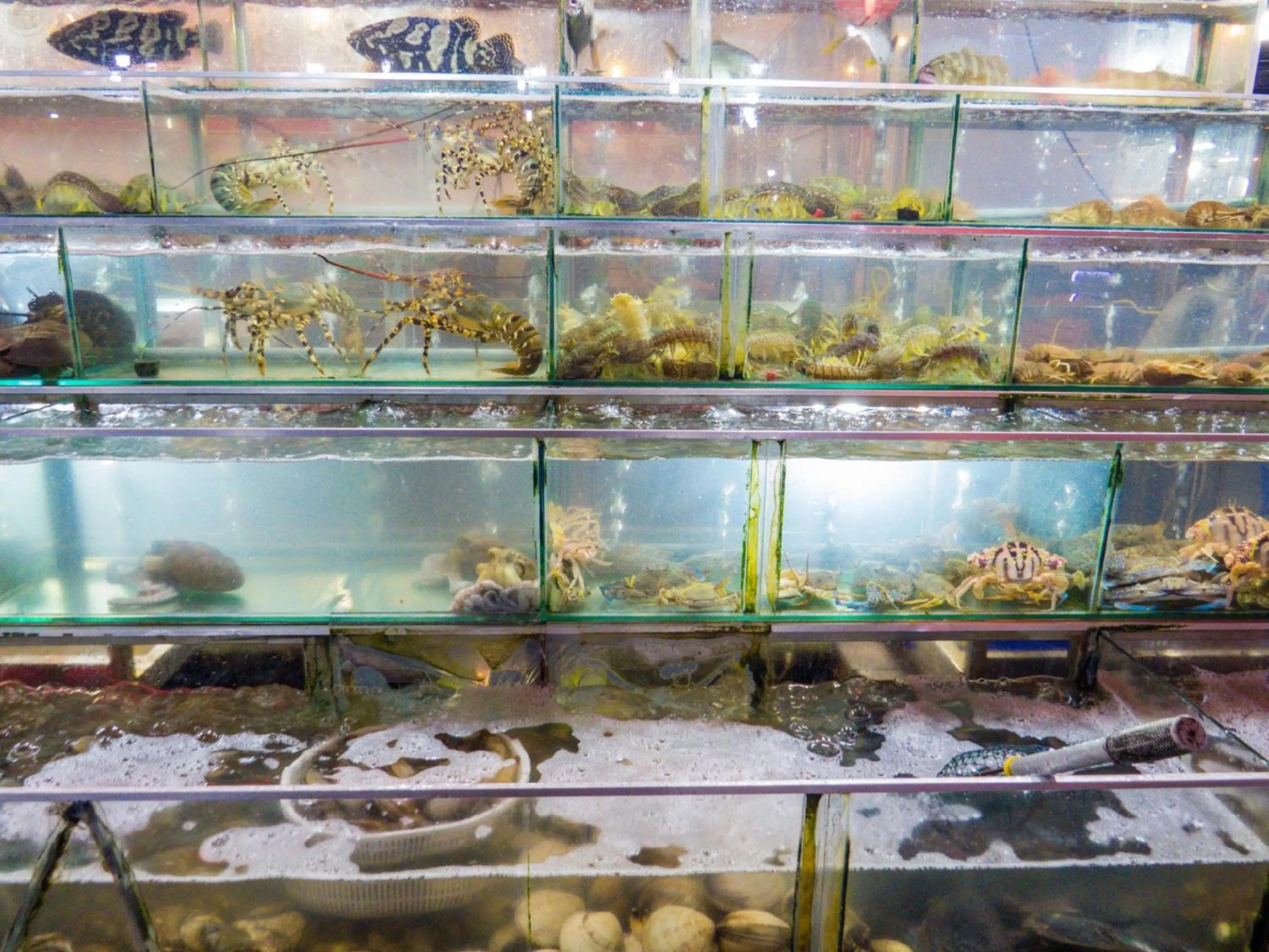 Nearby landmark in Linh Dan Bungalow