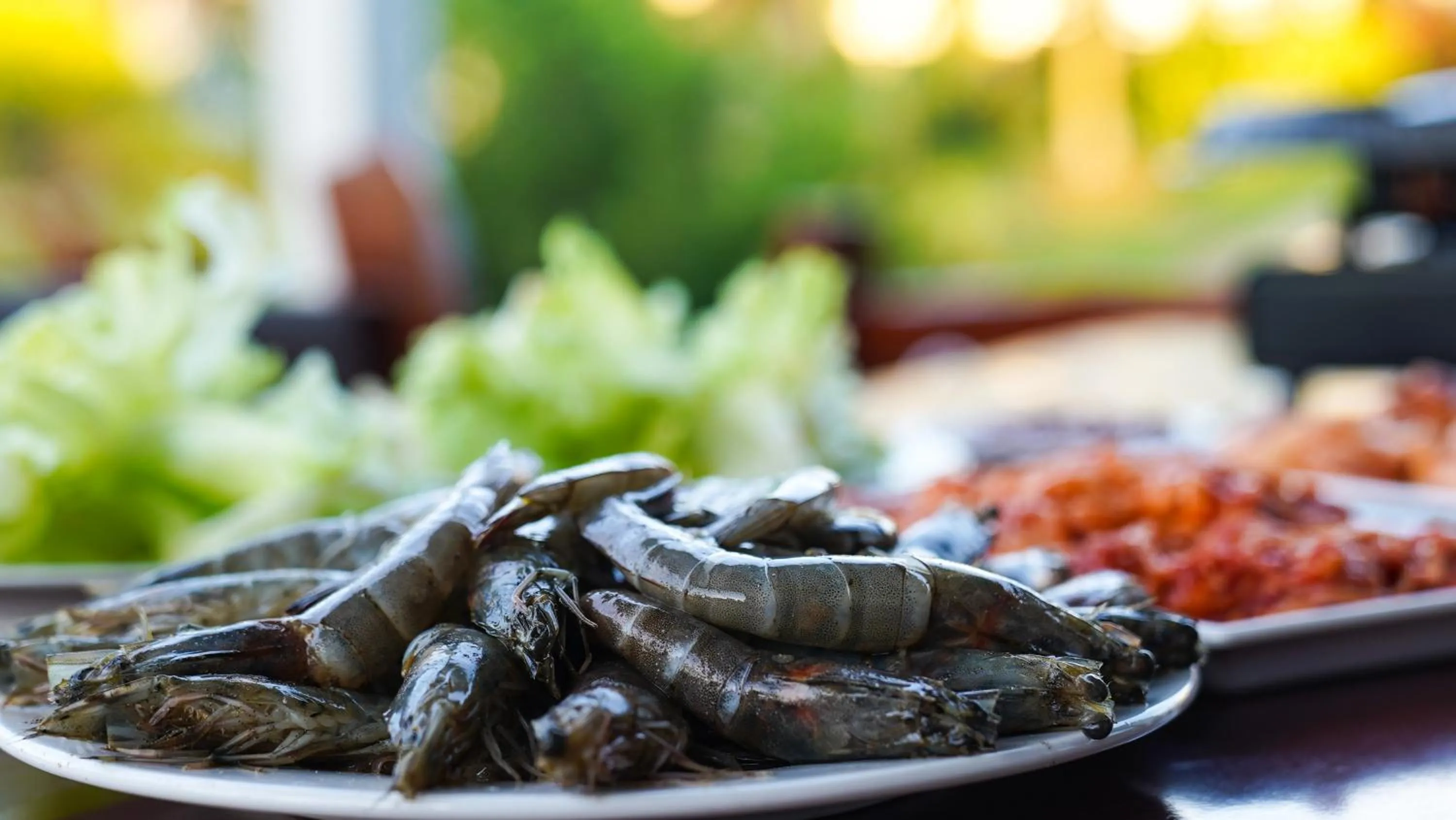 Restaurant/places to eat in A&A Garden Suites