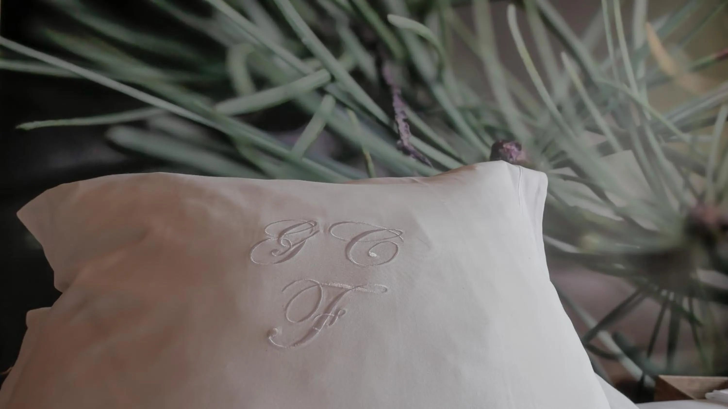 Bed in Hôtel Le Grand Chalet Favre