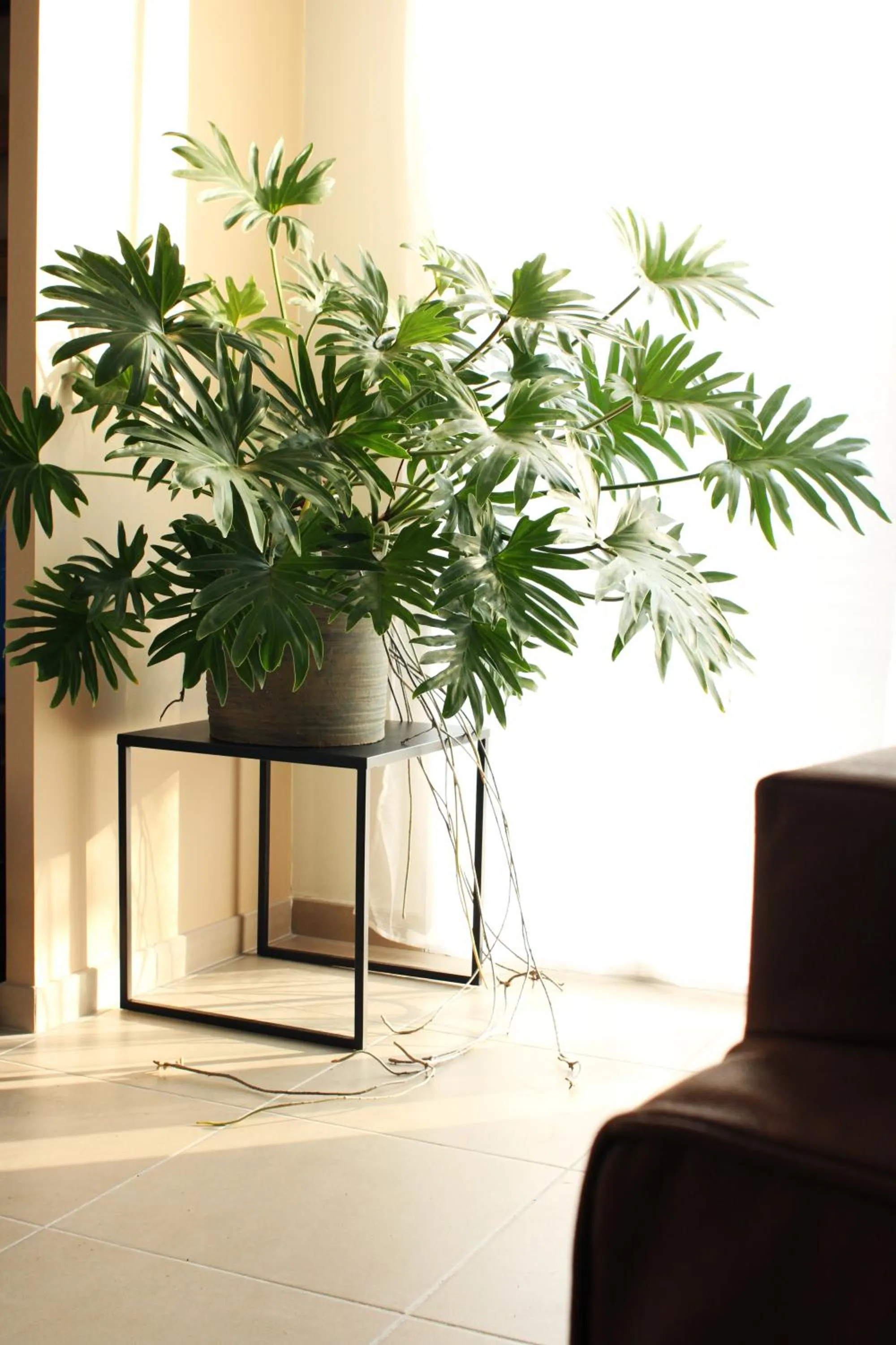 Clos de la Couturelle