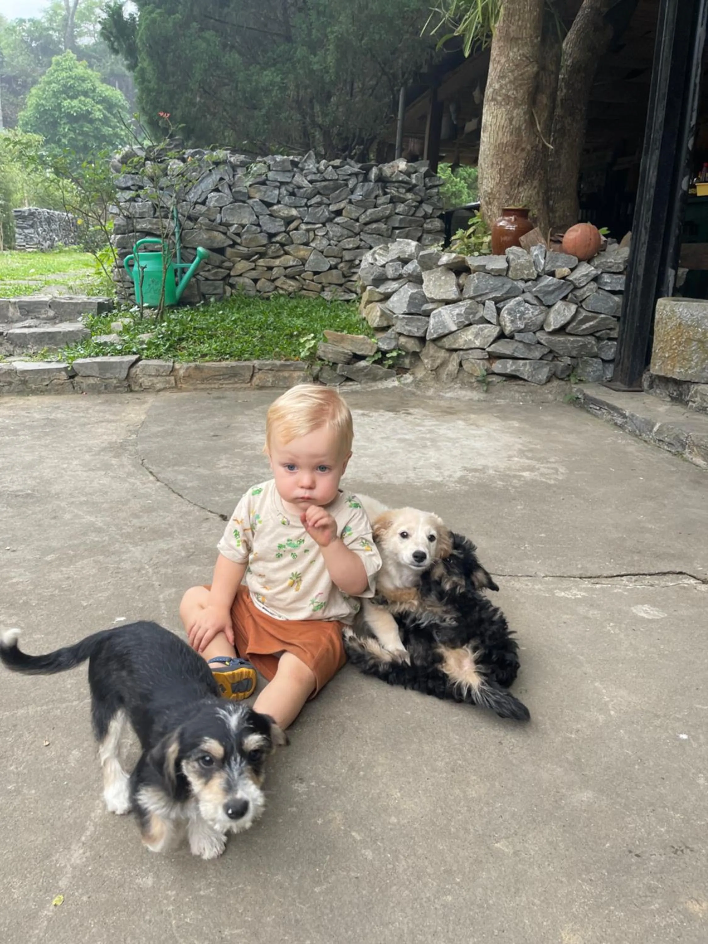 Ha Giang Historic Hotel & Tours