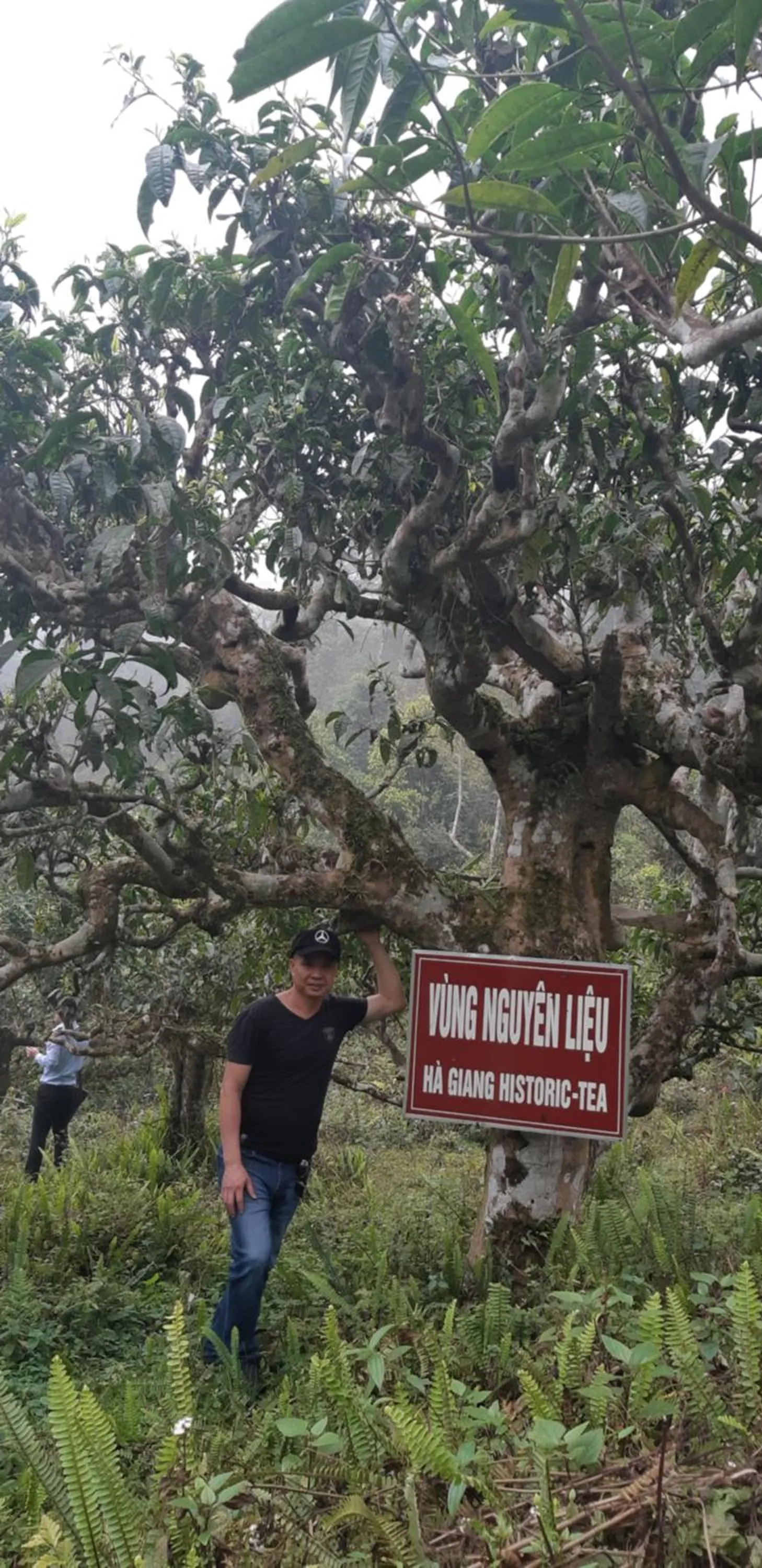 Ha Giang Historic Hotel & Tours