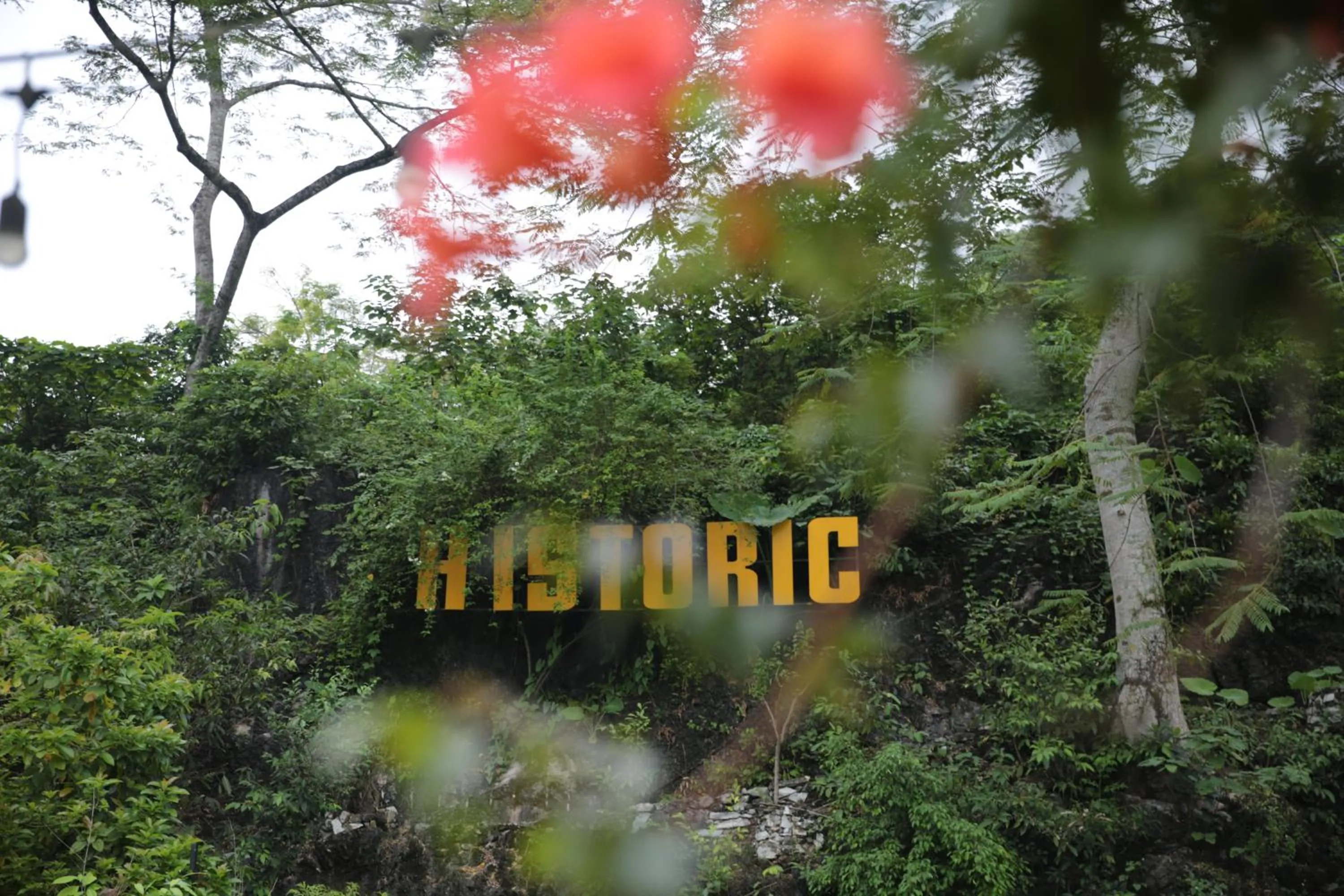 Ha Giang Historic Hotel & Tours