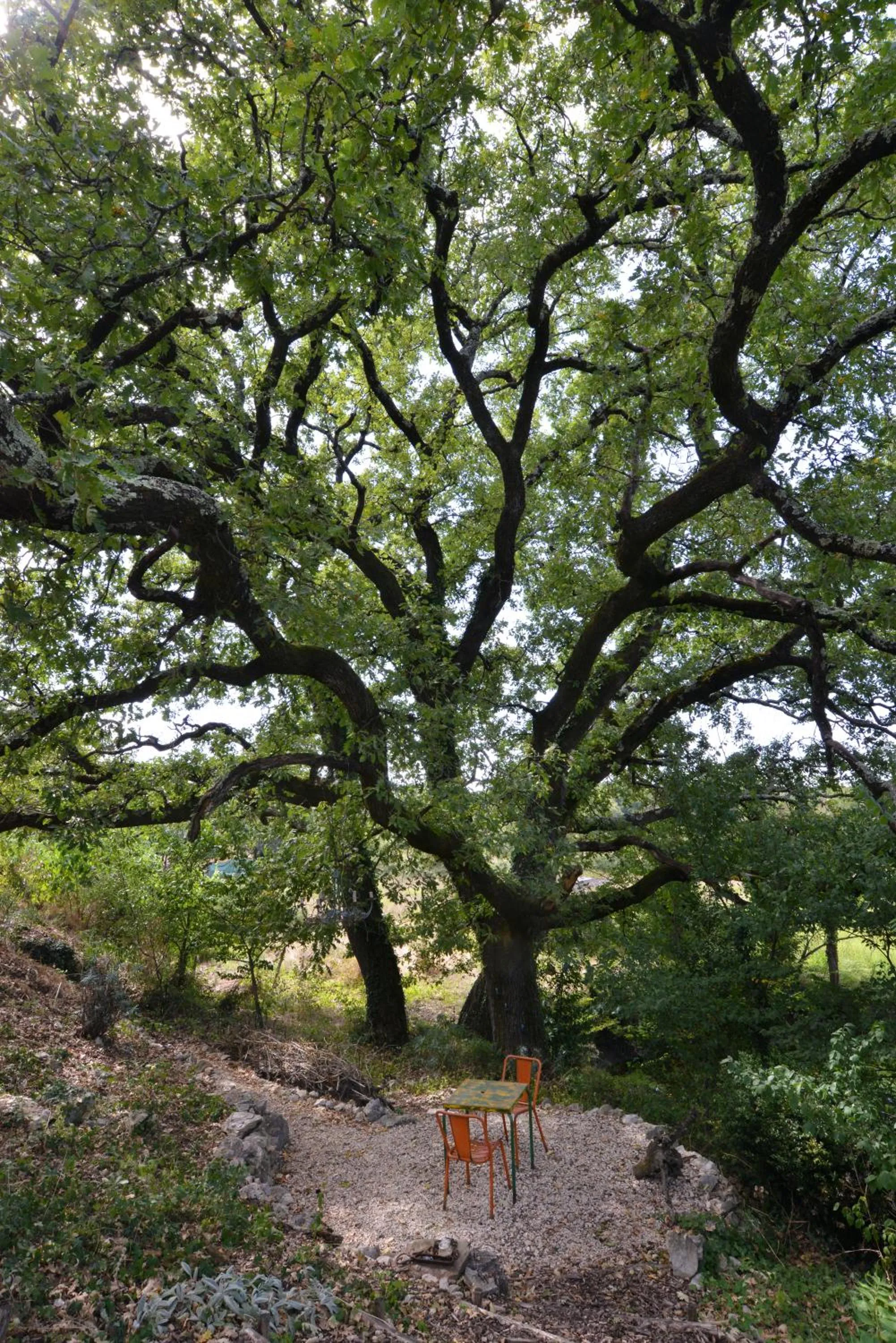 Garden in B&B Champdelaplume
