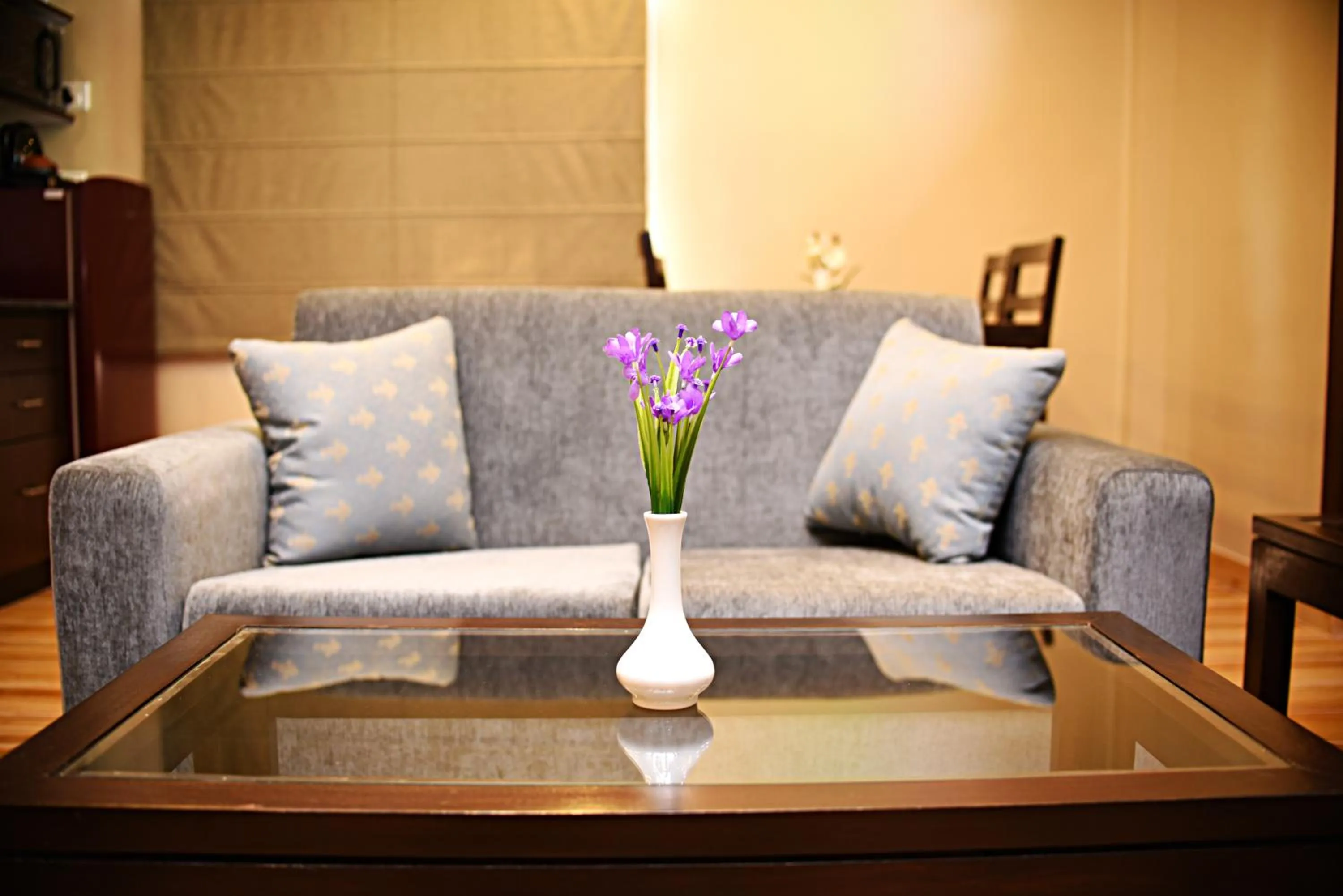 Living room in Himalayan Ghar