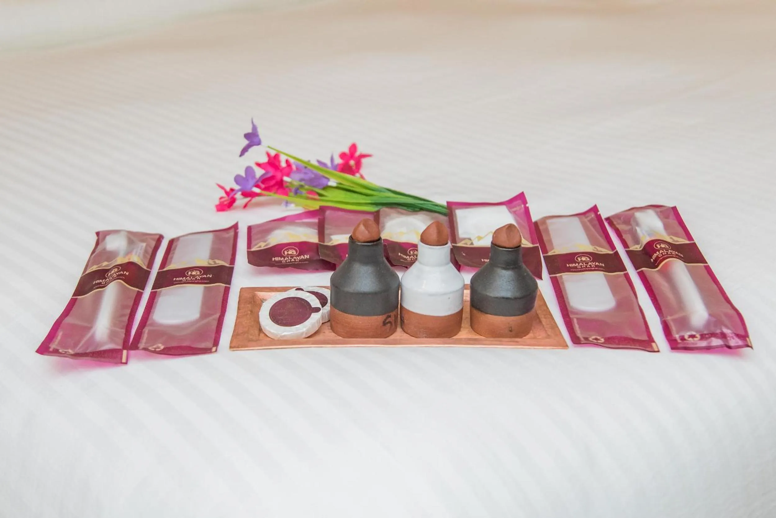 Toilet in Himalayan Ghar