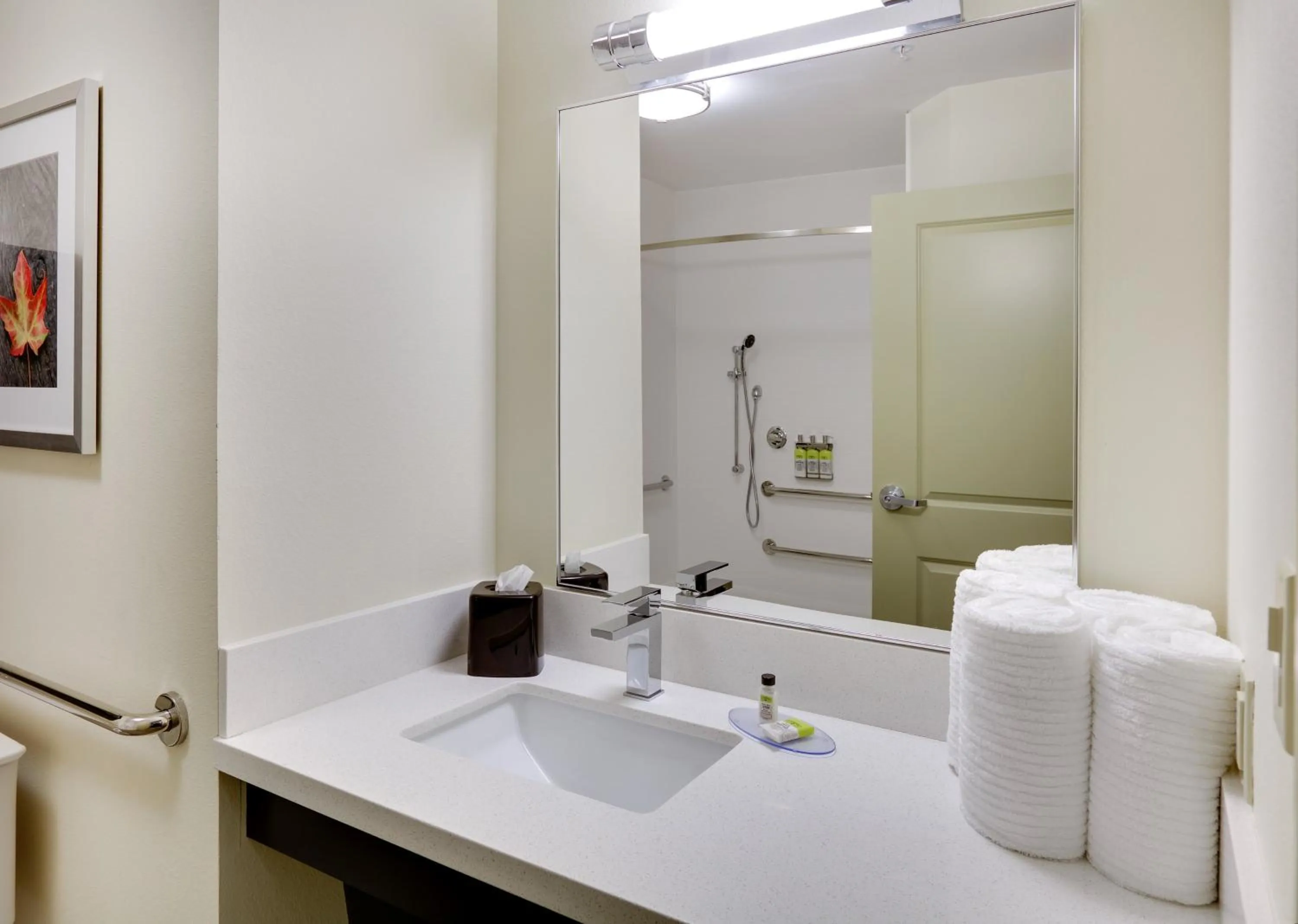 Bathroom in Candlewood Suites Dallas NW - Farmers Branch by IHG
