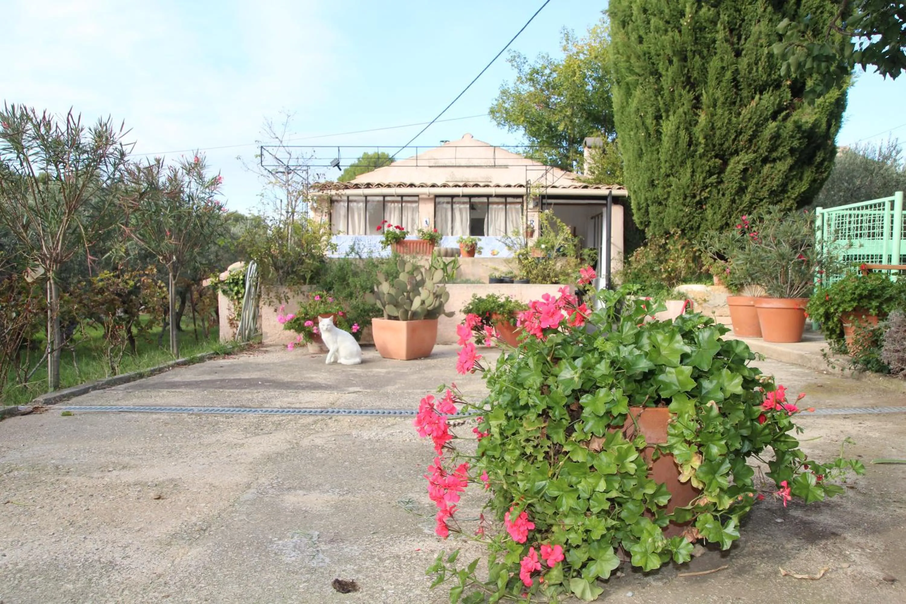 le cabanon de l'olivette