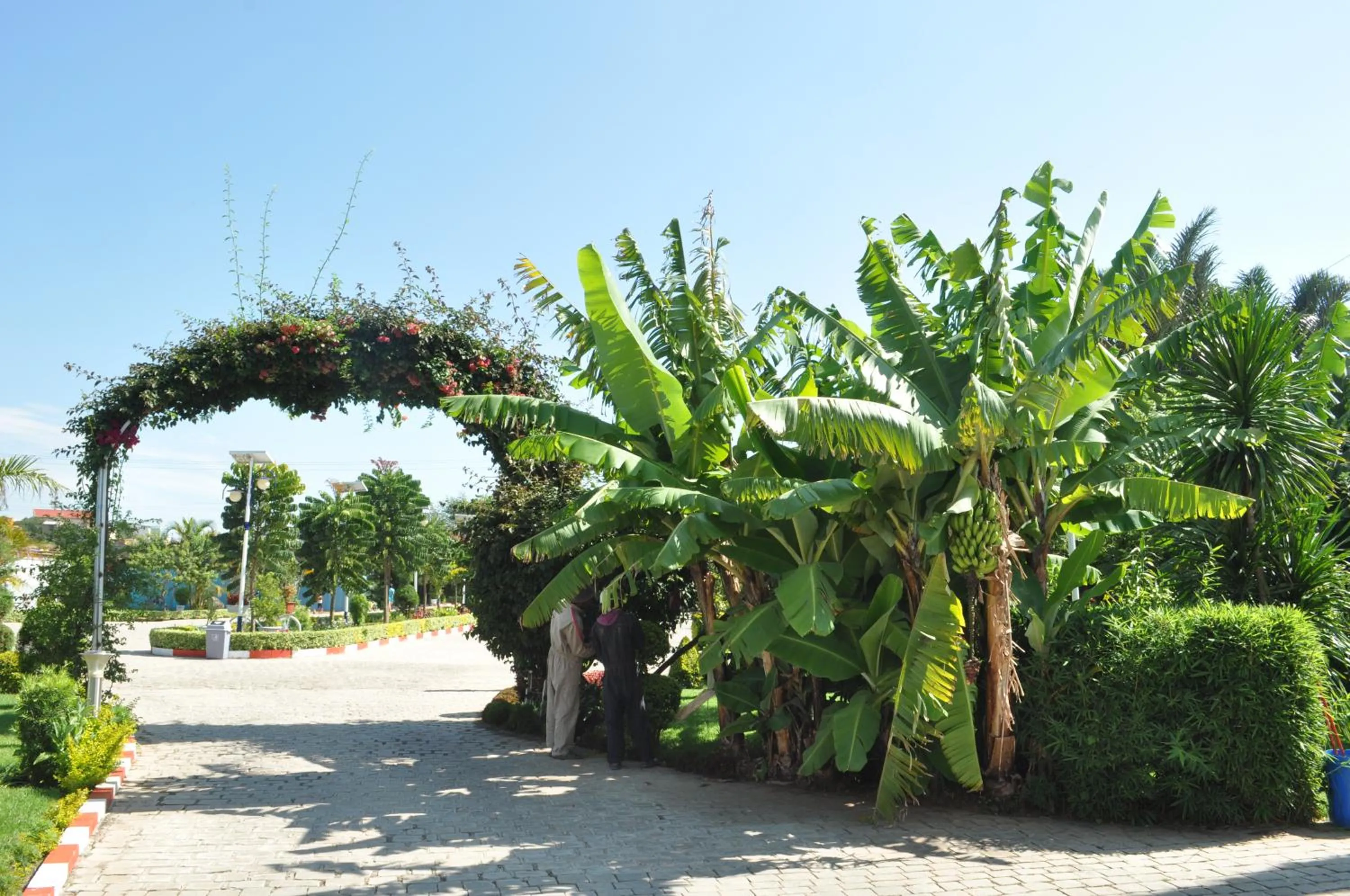 Hôtel Sky blue Mada