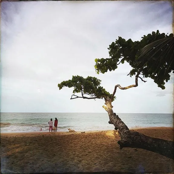 Beach in Hotel Bocas del Toro