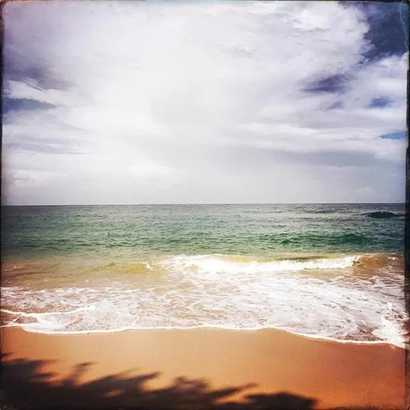 Natural landscape in Hotel Bocas del Toro