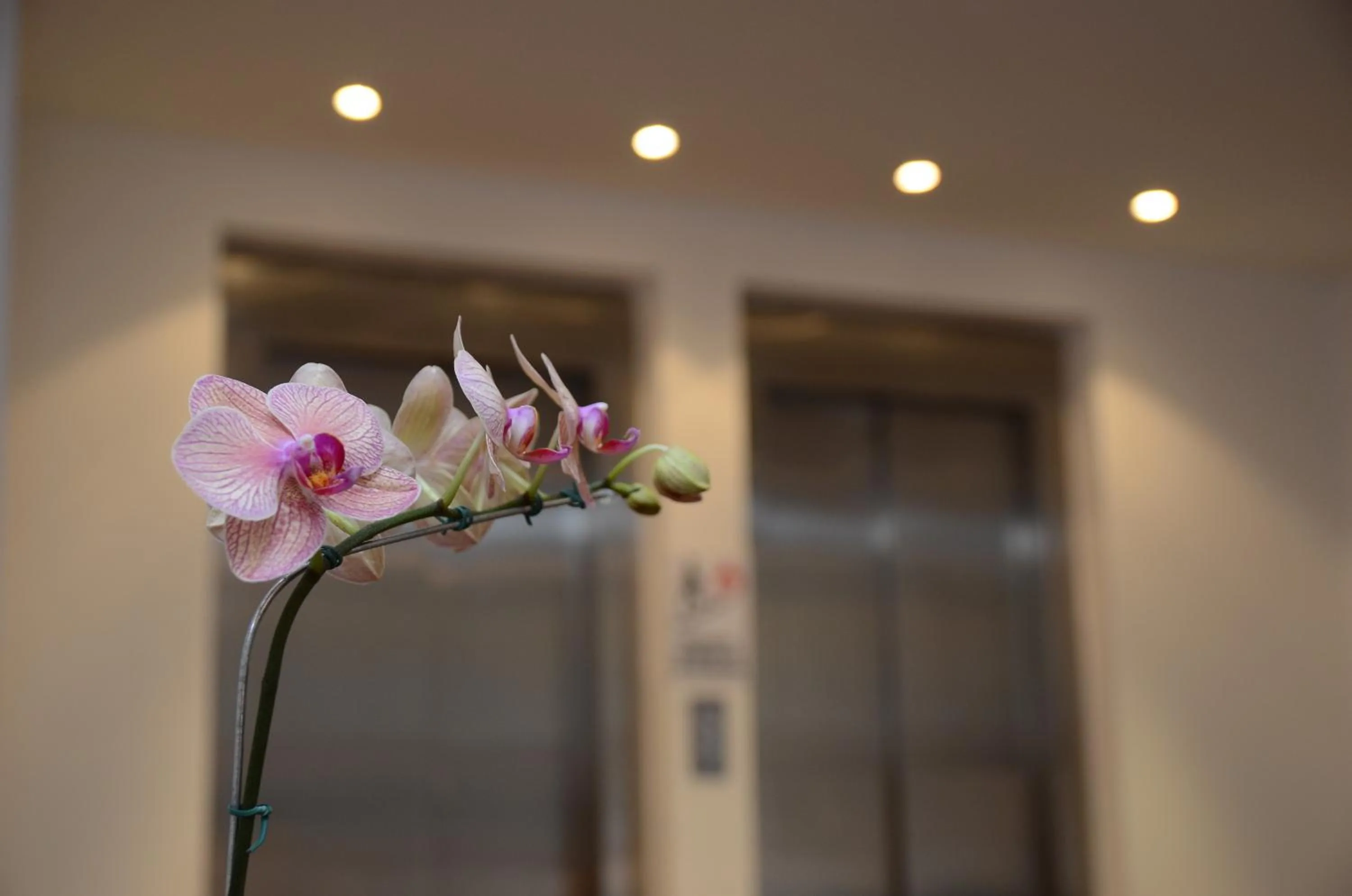 Decorative detail in Grand Crucero Hotel