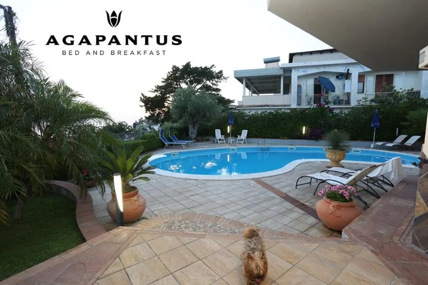 Swimming pool in Agapantus Bed & Breakfast