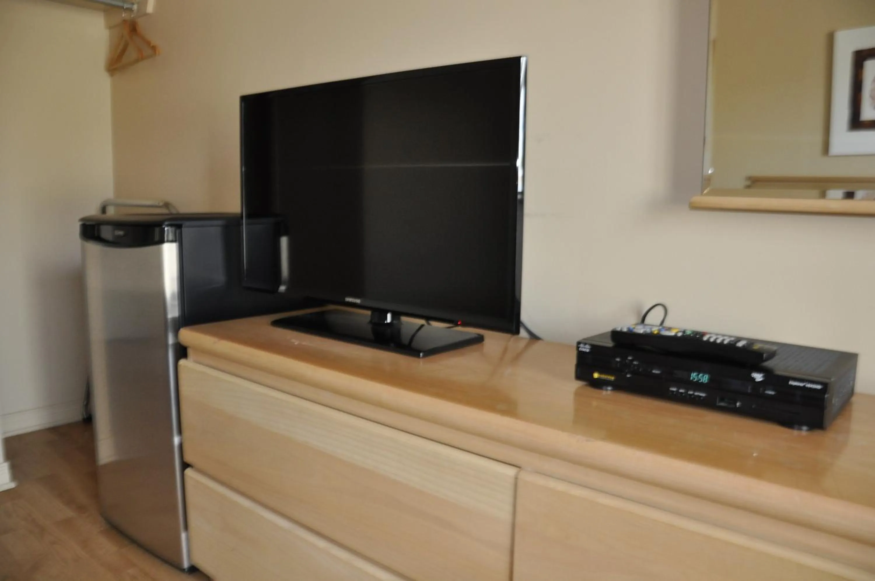 TV and multimedia in Motel les Pignons Verts