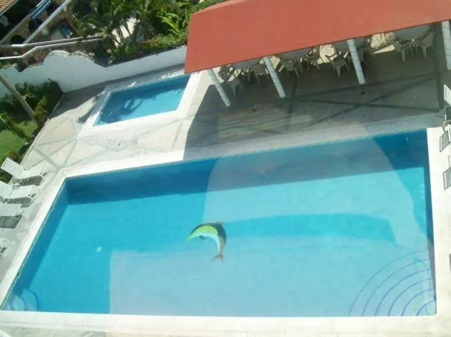 Swimming pool in Hotel y Suites Corita