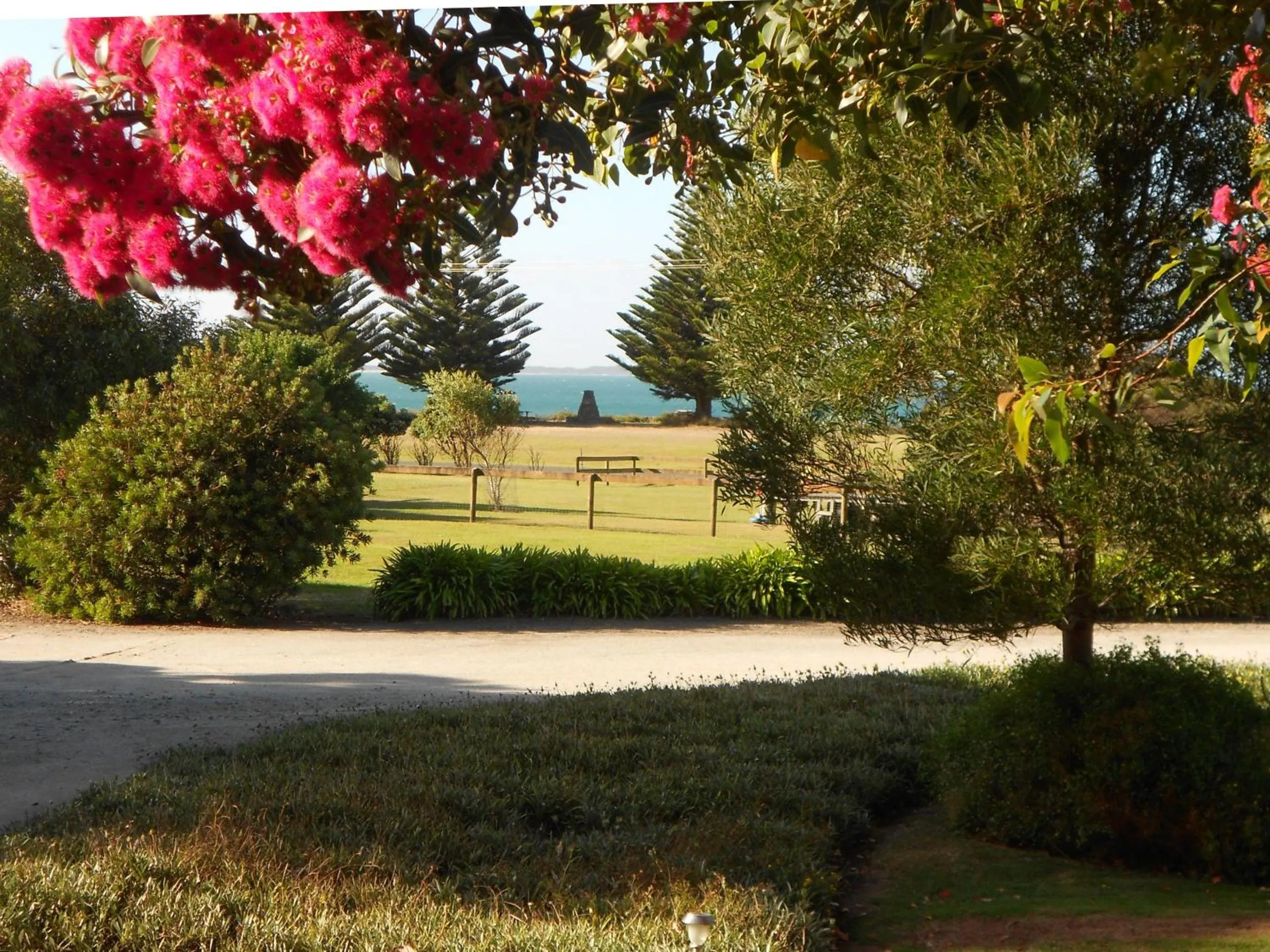 Garden view in King Island Accommodation Cottages