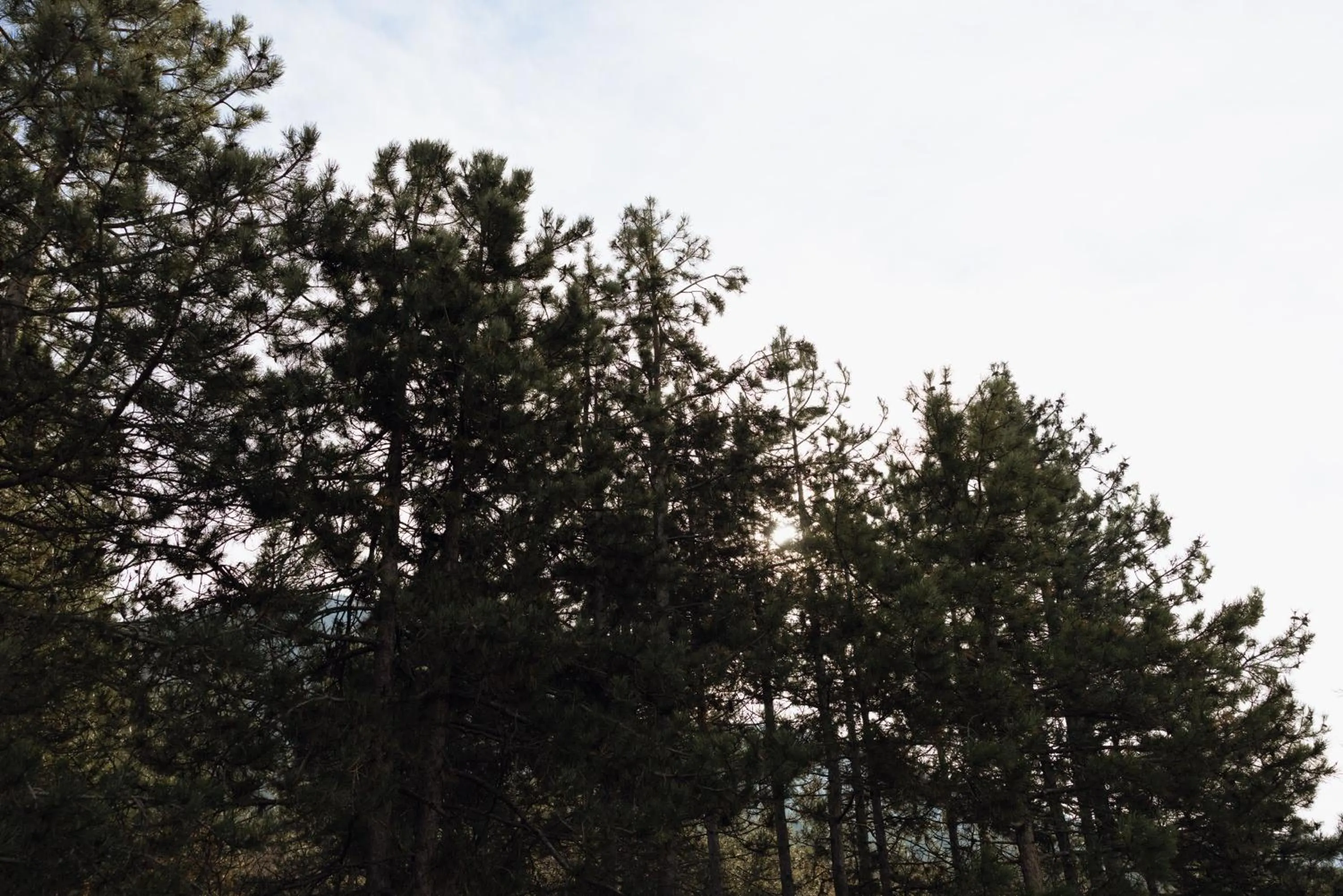 View (from property/room) in Agnanti Hotel