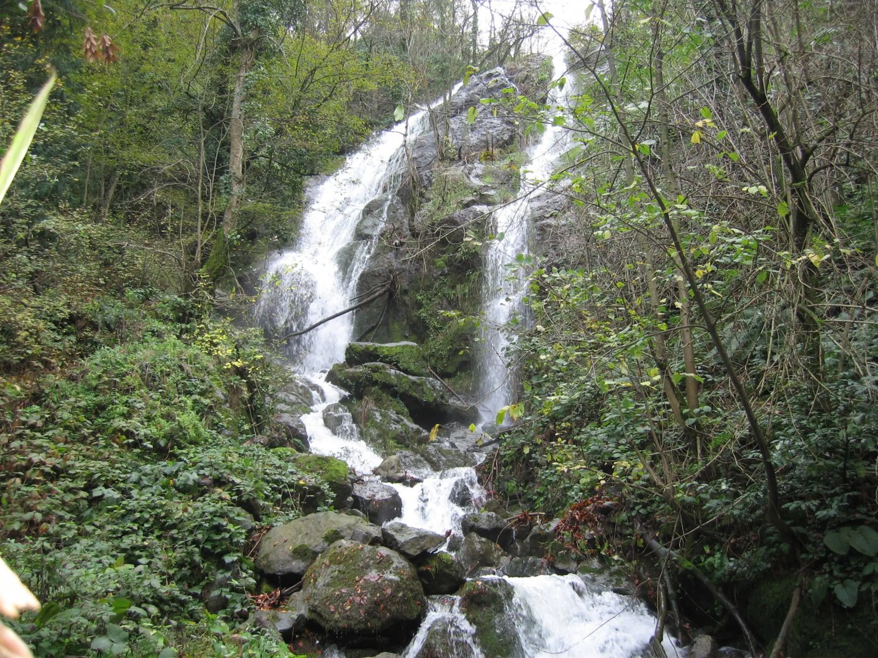 Other in Termal Elit Hotel