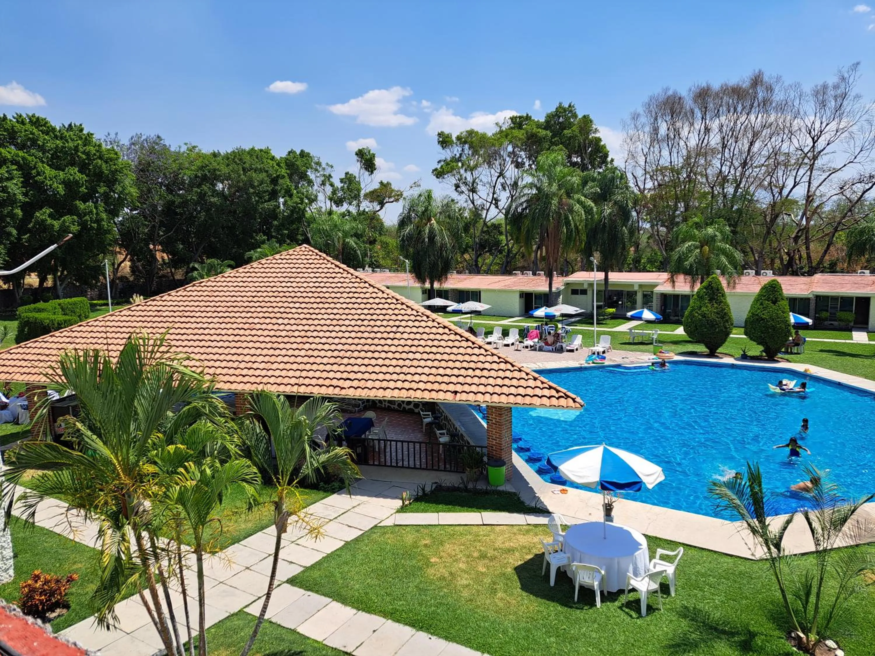 Garden in Hotel Teques Palace
